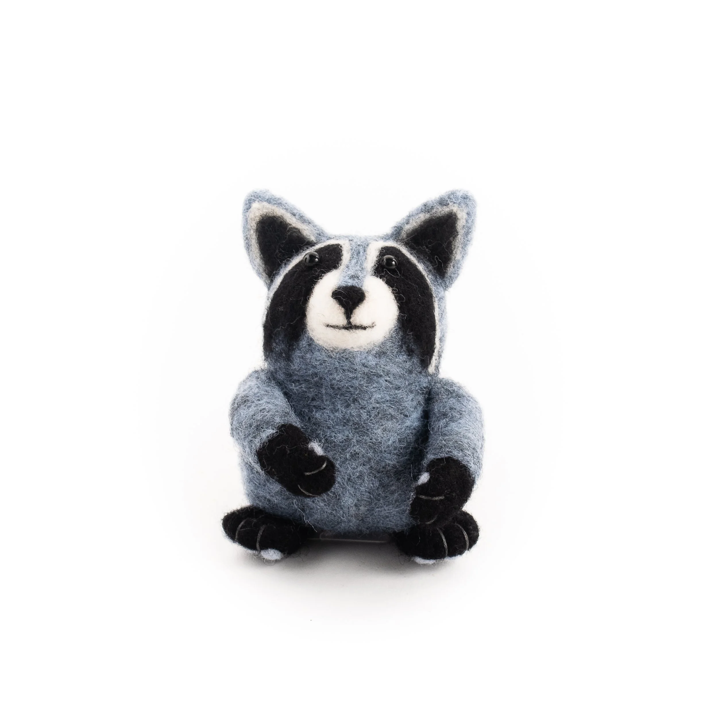 Boone, RaccoonLF-1.JPG