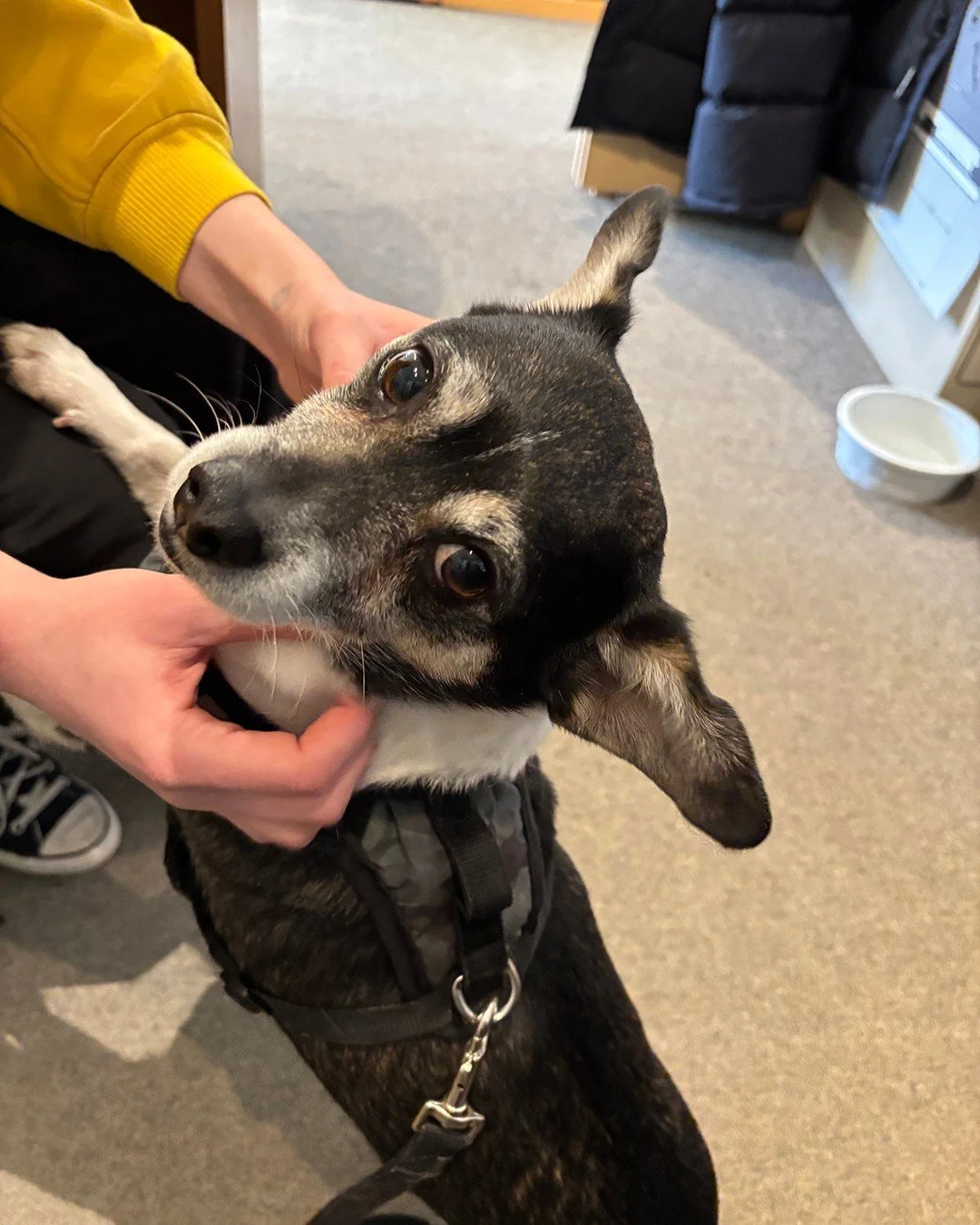 Throwing it back to when Gord stopped by to help Tayler Shell and Selen&eacute; Huff install their work in our current Feature Gallery exhibition, FIX FIRE FORGE.

By &ldquo;help,&rdquo; we of course mean providing moral support, supervising the inst