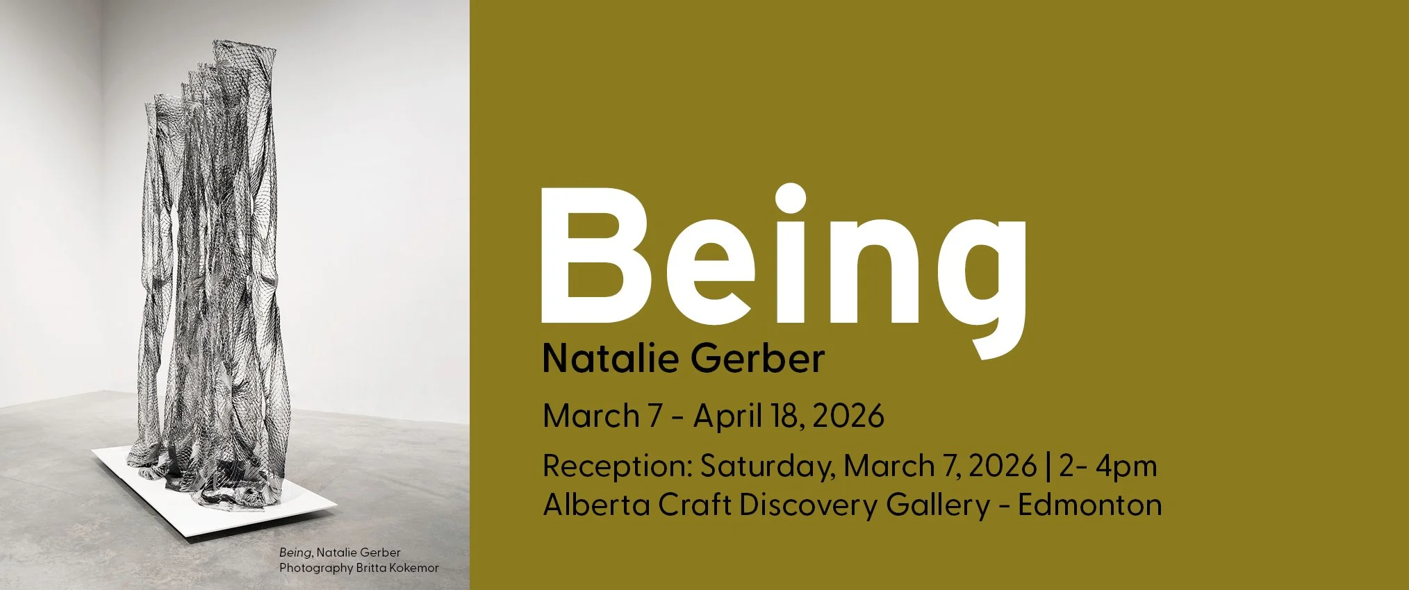 D2 being carousel.jpg