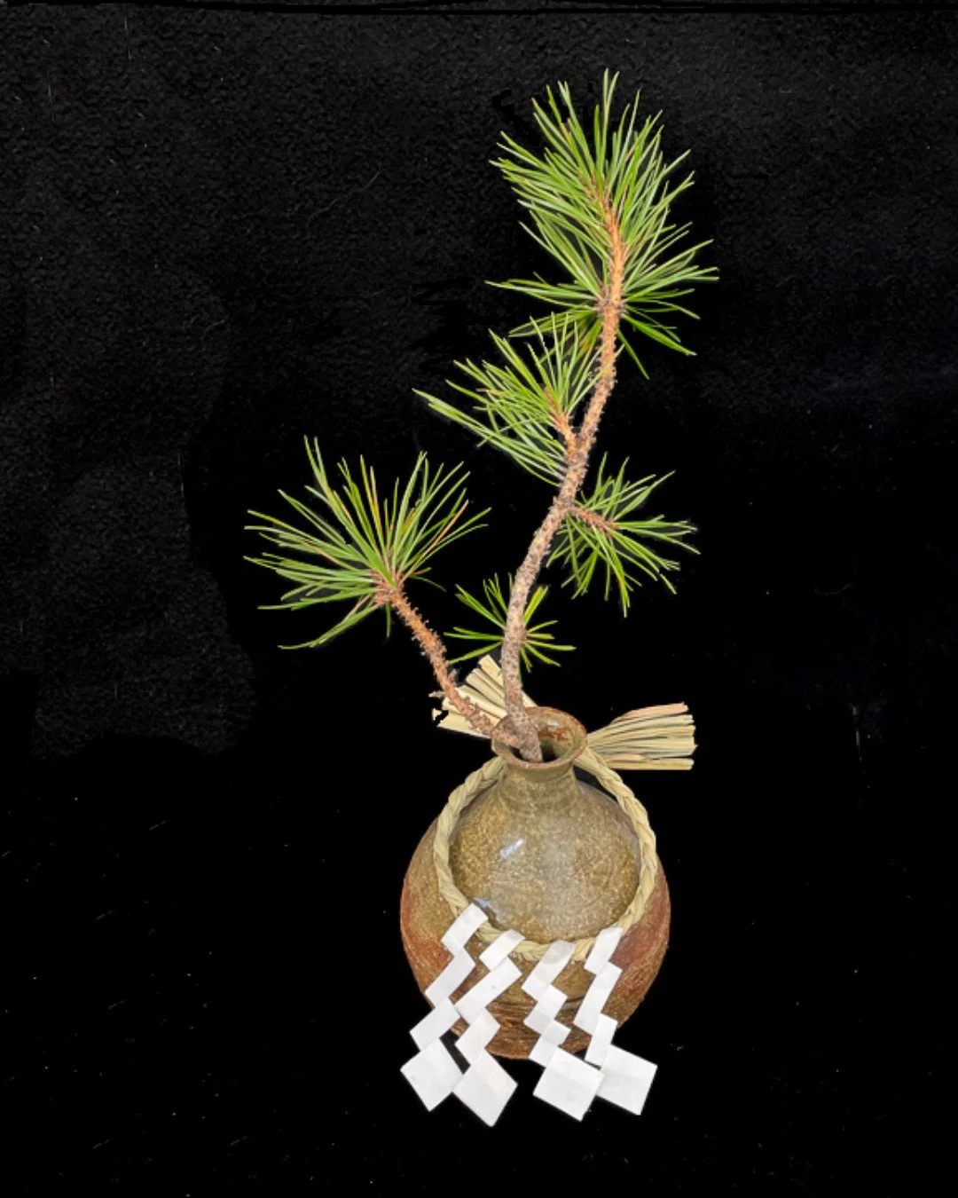 📢 Alberta Craft Saturday Round-Up

Calgary
 SPOTLIGHT | 2&ndash;4pm: Experience the art of the Japanese tea ceremony with Minoru Ueda at his exhibition reception, &ldquo;Ichigo Ichie &ndash; A Moment in Time.&rdquo; Discover stunning vases, tea uten