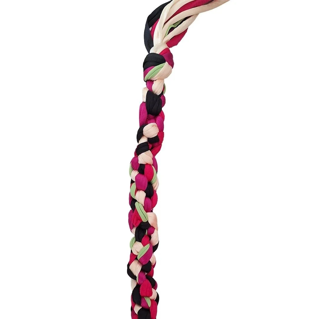 Beginner Braiding Workshop - Pet Enrichment Toy