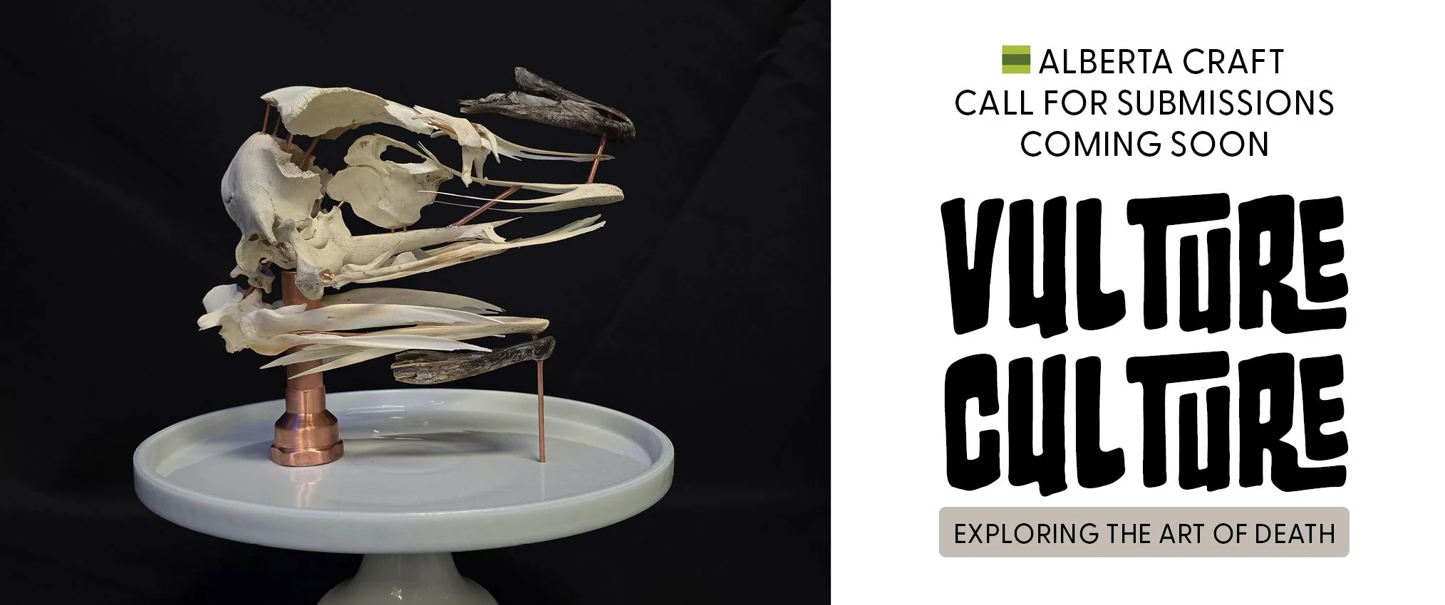 F1 VC call 2028x850.jpg