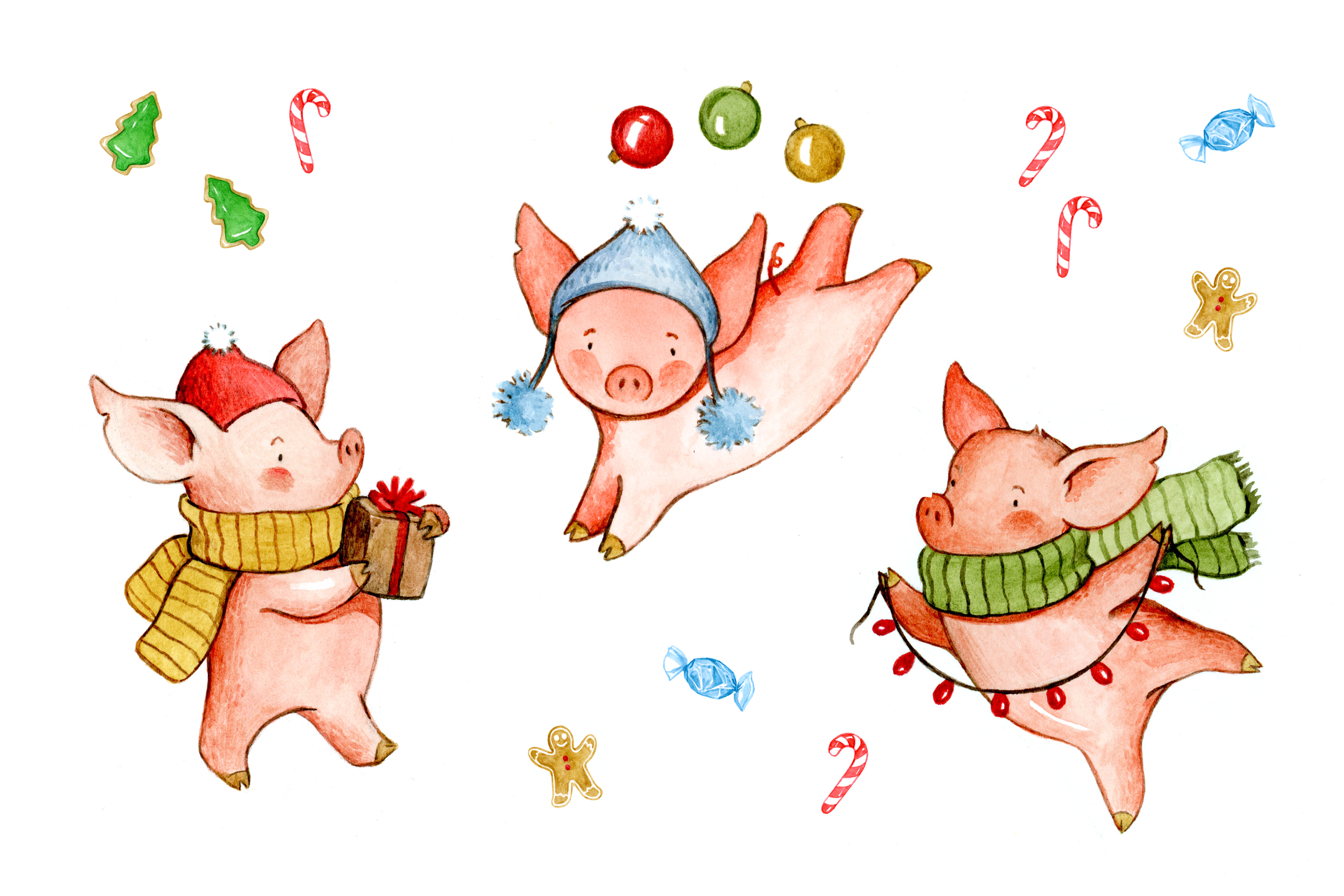 pig_panel.png