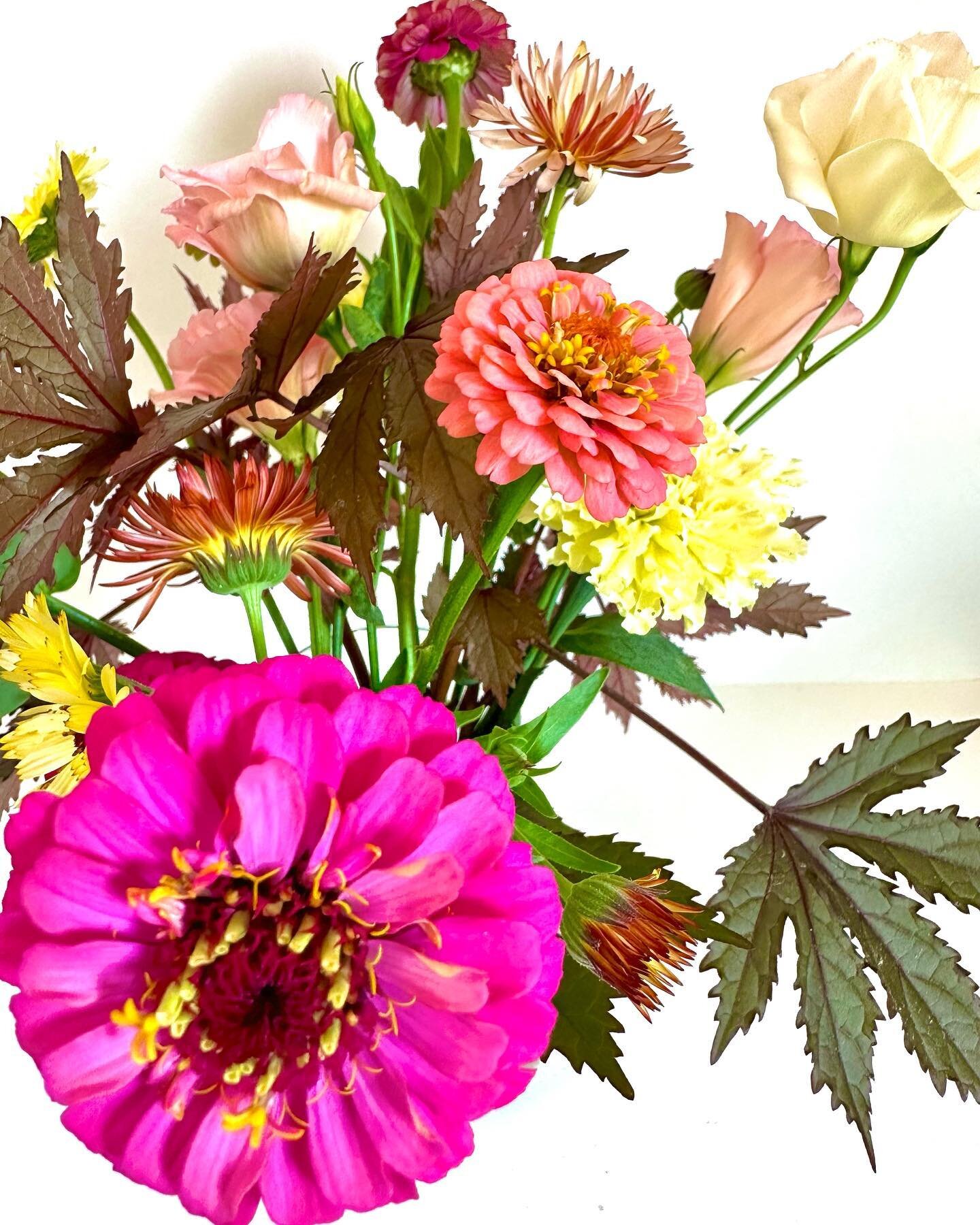 wanna get your hands on some 100% hippie girl homegrown flowers? 

DUH 

head to the &ldquo;hippie girl blossoms&rdquo; tab at the website link in our bio or message us to place a flower order :) 

pick-up &amp; local delivery options available 

xox