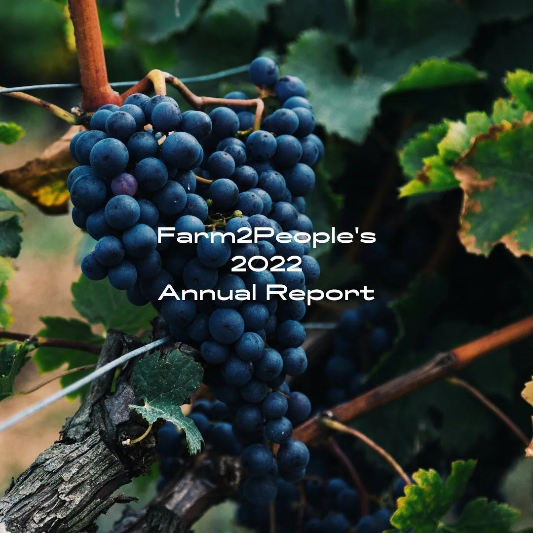 Our 2022 annual report is live! With full transparency we invite you to check out what we&rsquo;ve been up to! 💚