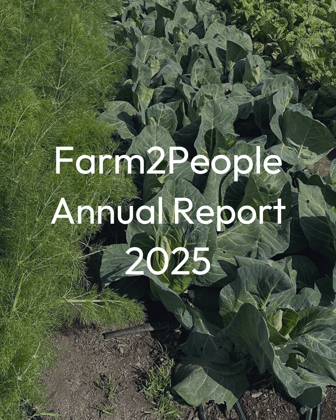 OUR 2025 ANNUAL REPORT IS HERE!