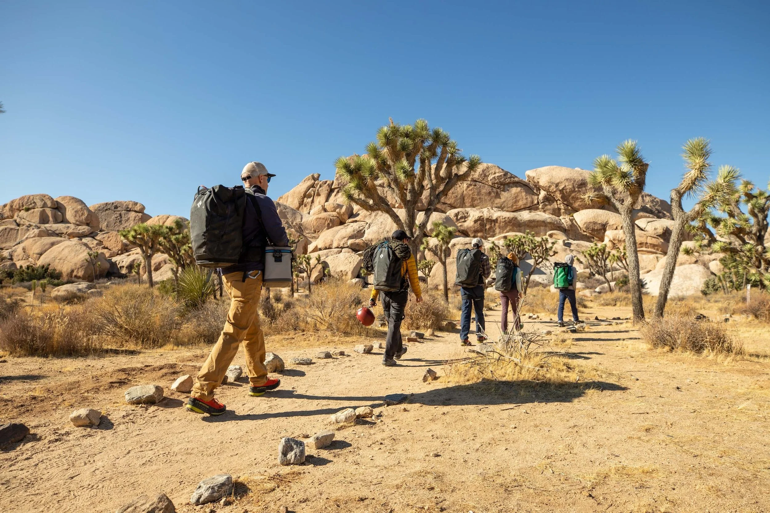 Best Time to Visit Joshua Tree: Weather &amp; Activities