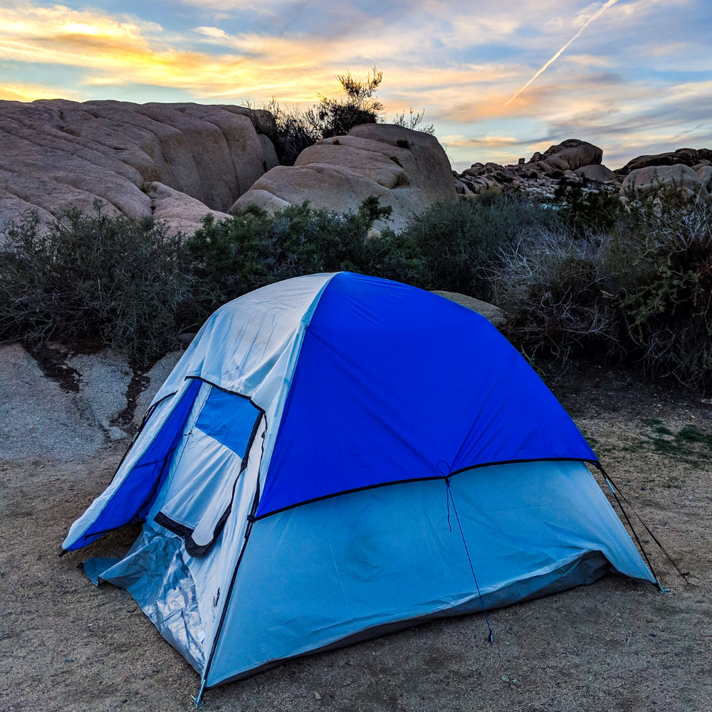 Joshua Tree Camping Guide: Best Campgrounds, Tips &amp; Things to Do