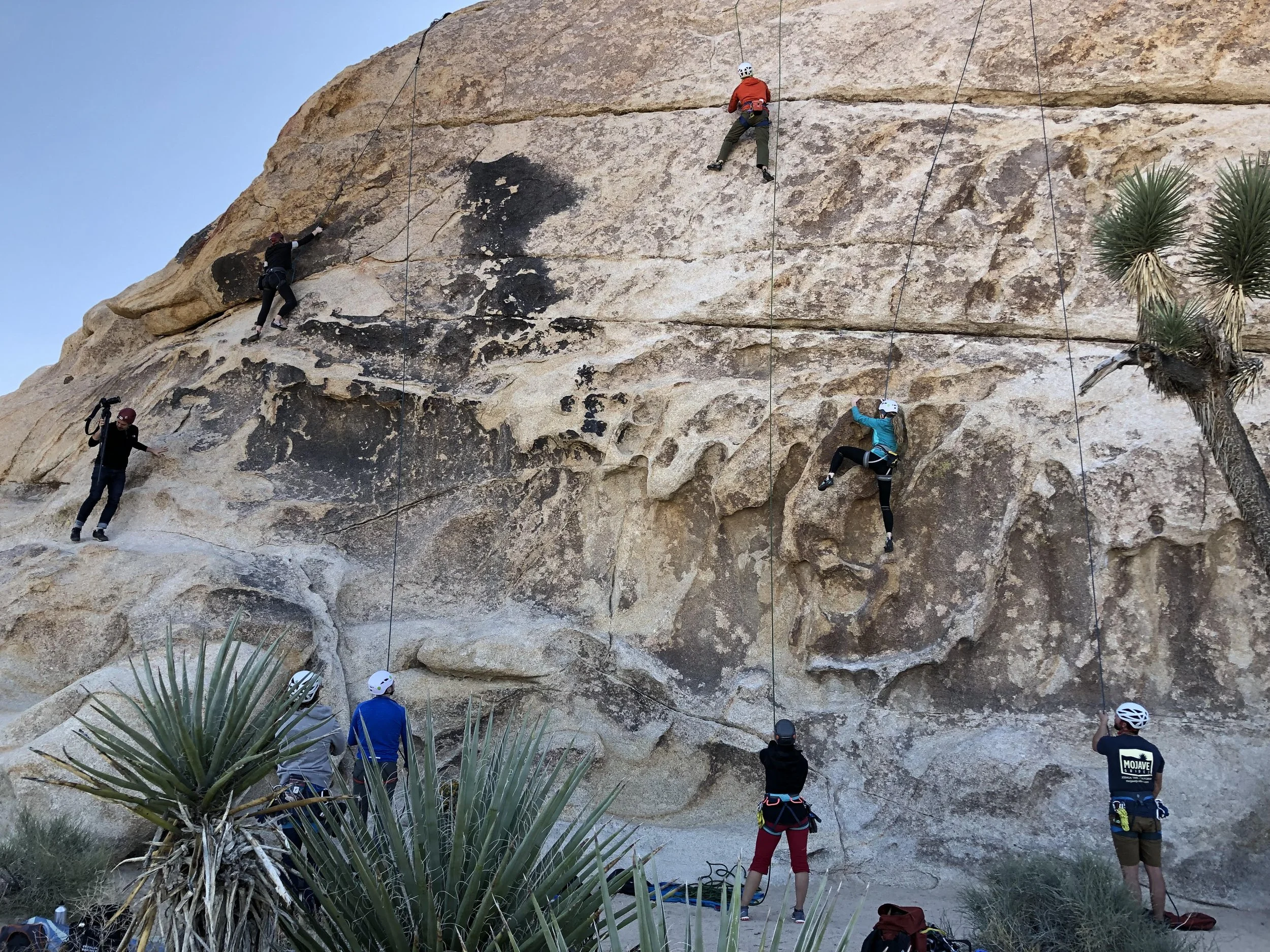 people on a rock wall climbing in Joshua Tree National Park