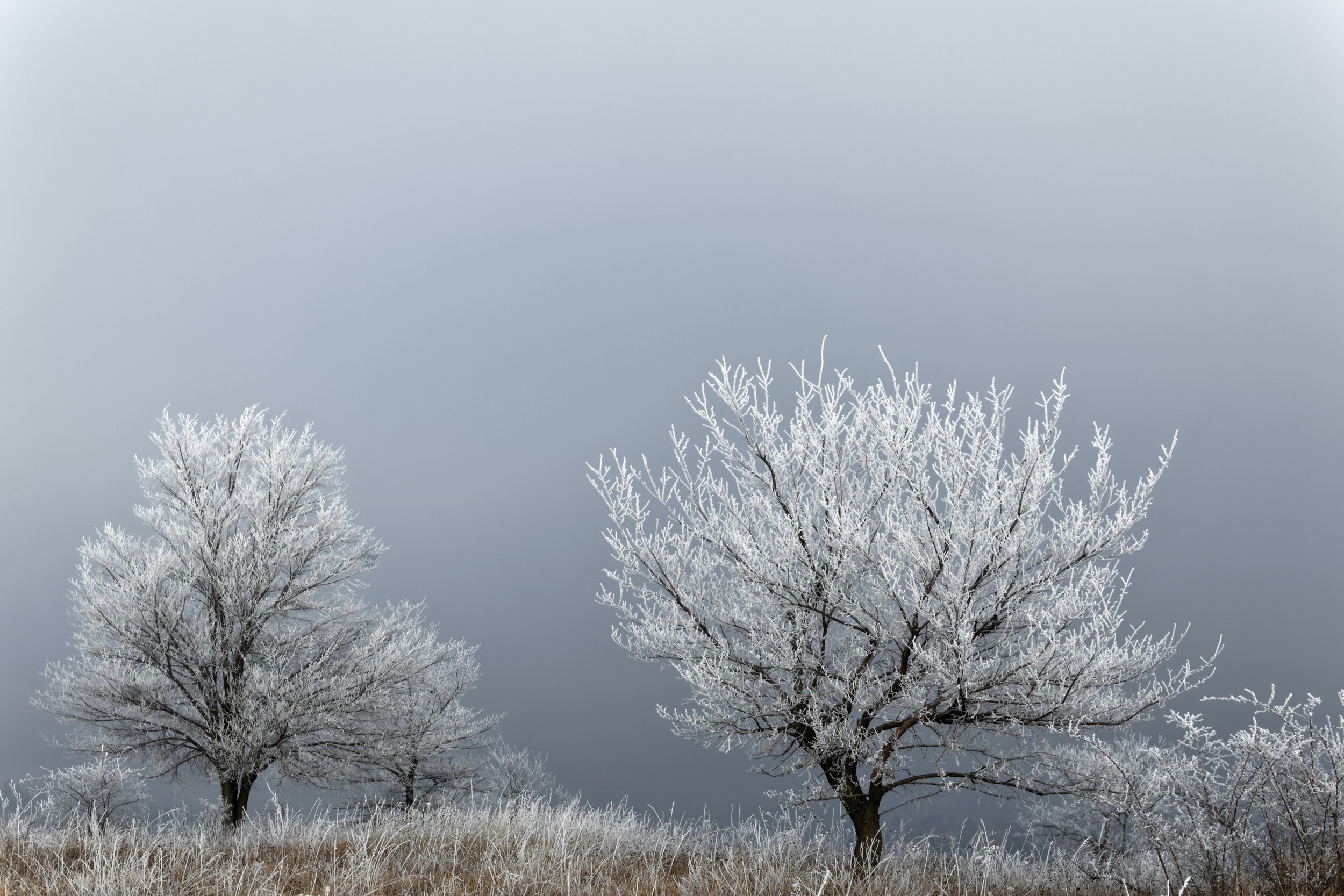 Navigating Christmas and New Year as a Bereaved Parent