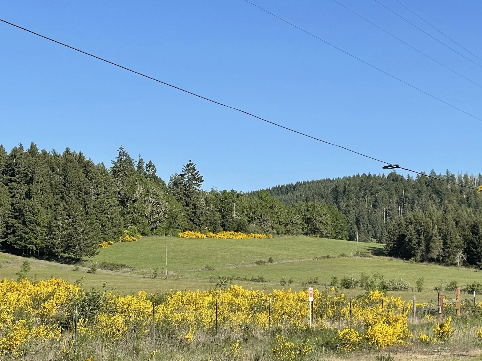 Kathleen Terner Scottsburg.jpeg