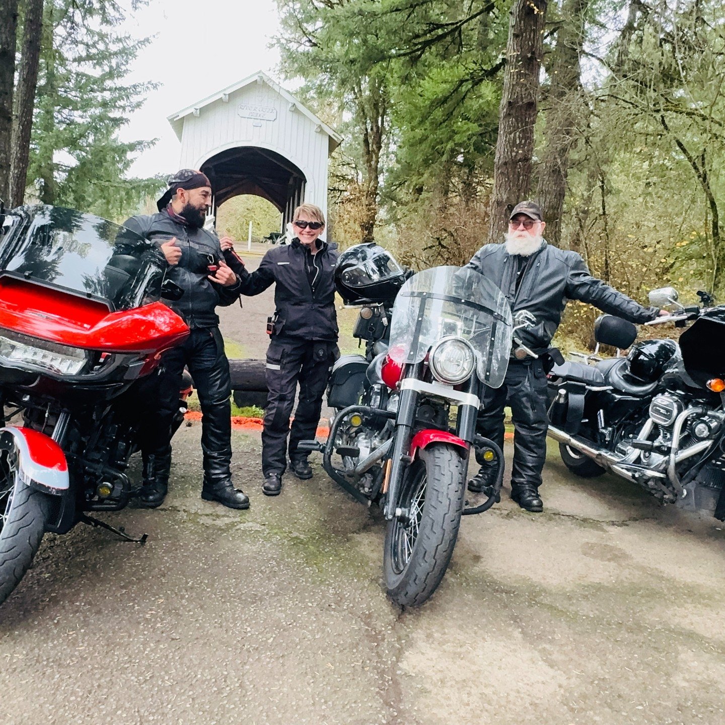 As I hurtled over a hill just past the Alsea Summit in the Suislaw National Forest, the top portion of the heavy fog blanketing the area lifted, creating a breathtaking tableau of colors before me. Traveling with my two favorite riding partners had a