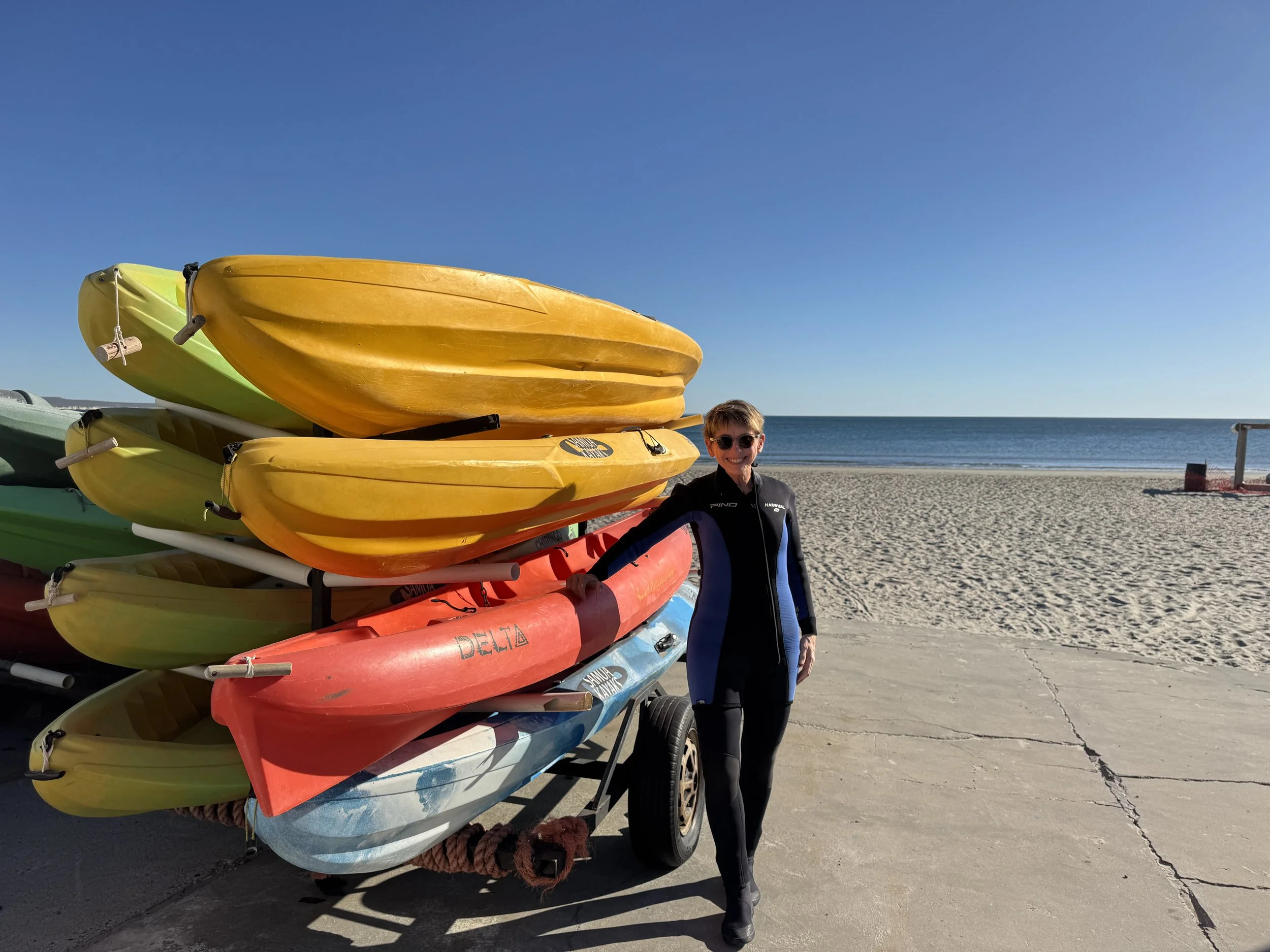 December 23: Spectacular Swim with Sea Lions