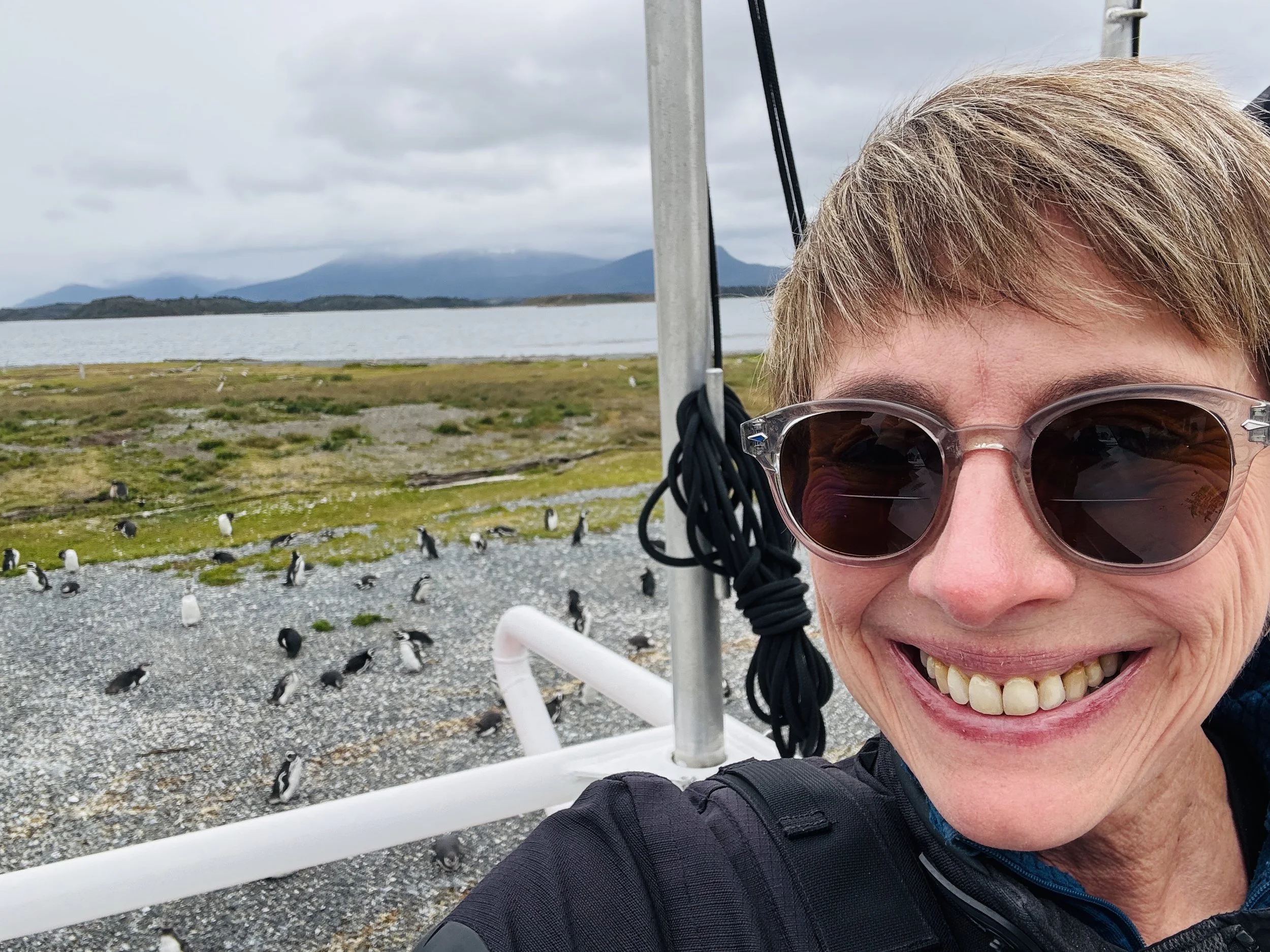 December 30: Penguins &amp; Pals in Patagonia’s Wild