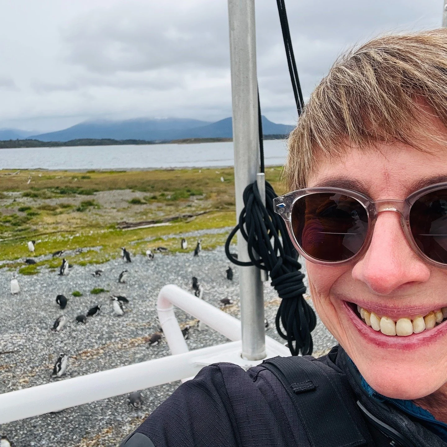Deciding that a trip to the southernmost part of South America wouldn&rsquo;t be complete without visiting penguins in their natural habitat, I set out on a cruise along the Beagle Chanel to Martillo Island to check out one of the world&rsquo;s large