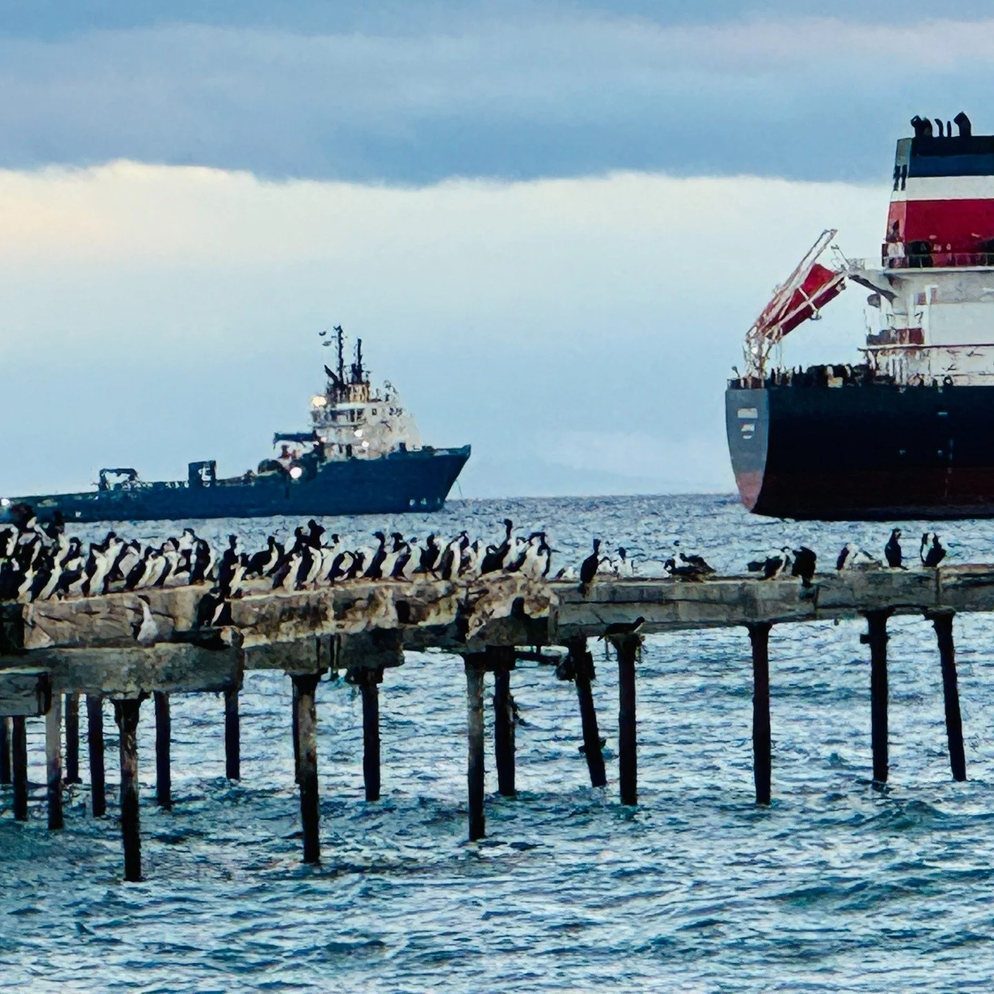 Wanting to savor my last few days in South America, I lingered in Punta Arenas, exploring the Costanera del Estrecho, the walkway on the eastern side of the city that runs along the shoreline of the Strait of Magellan. I also treated myself to reason