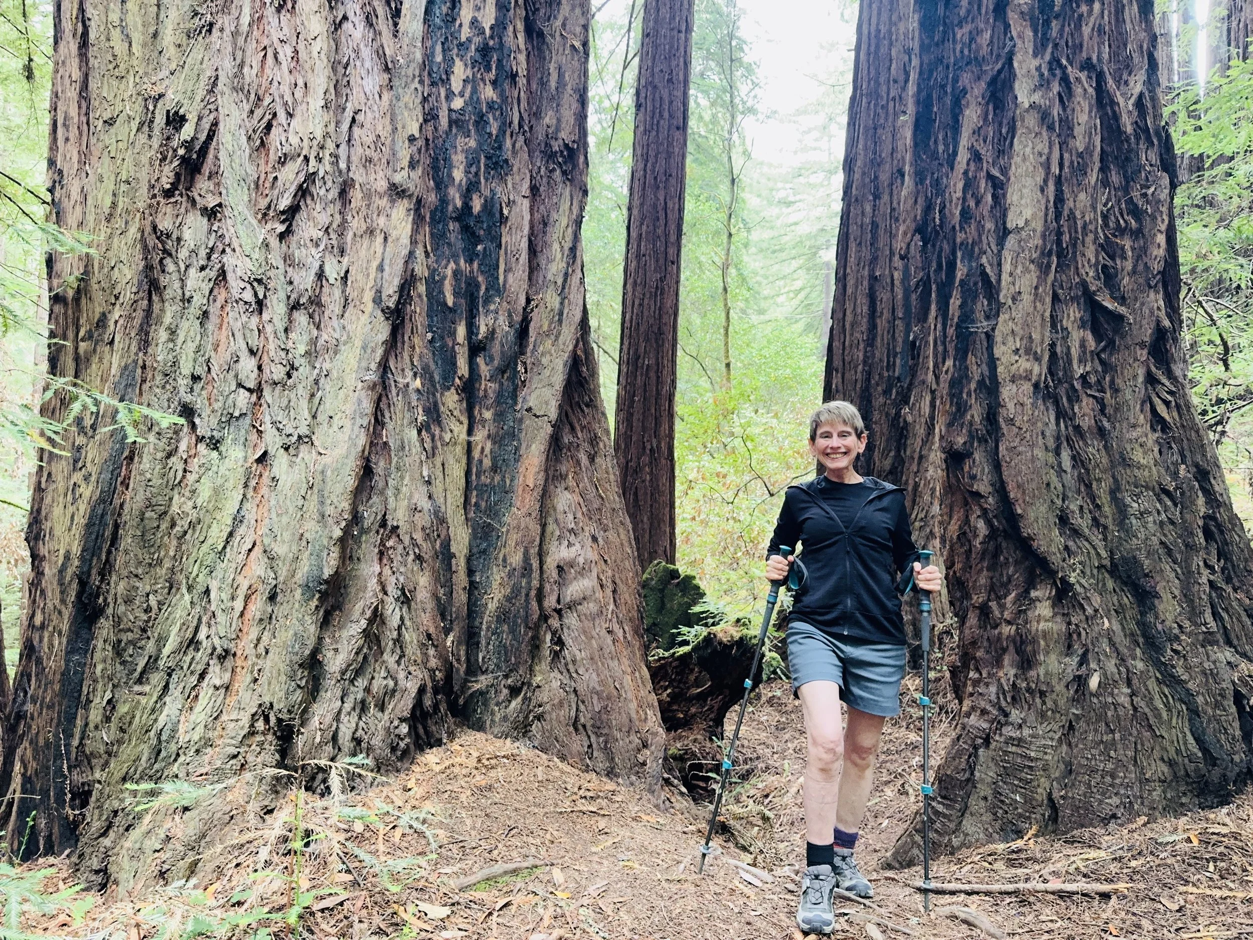 August 4-Magic at Muir Woods