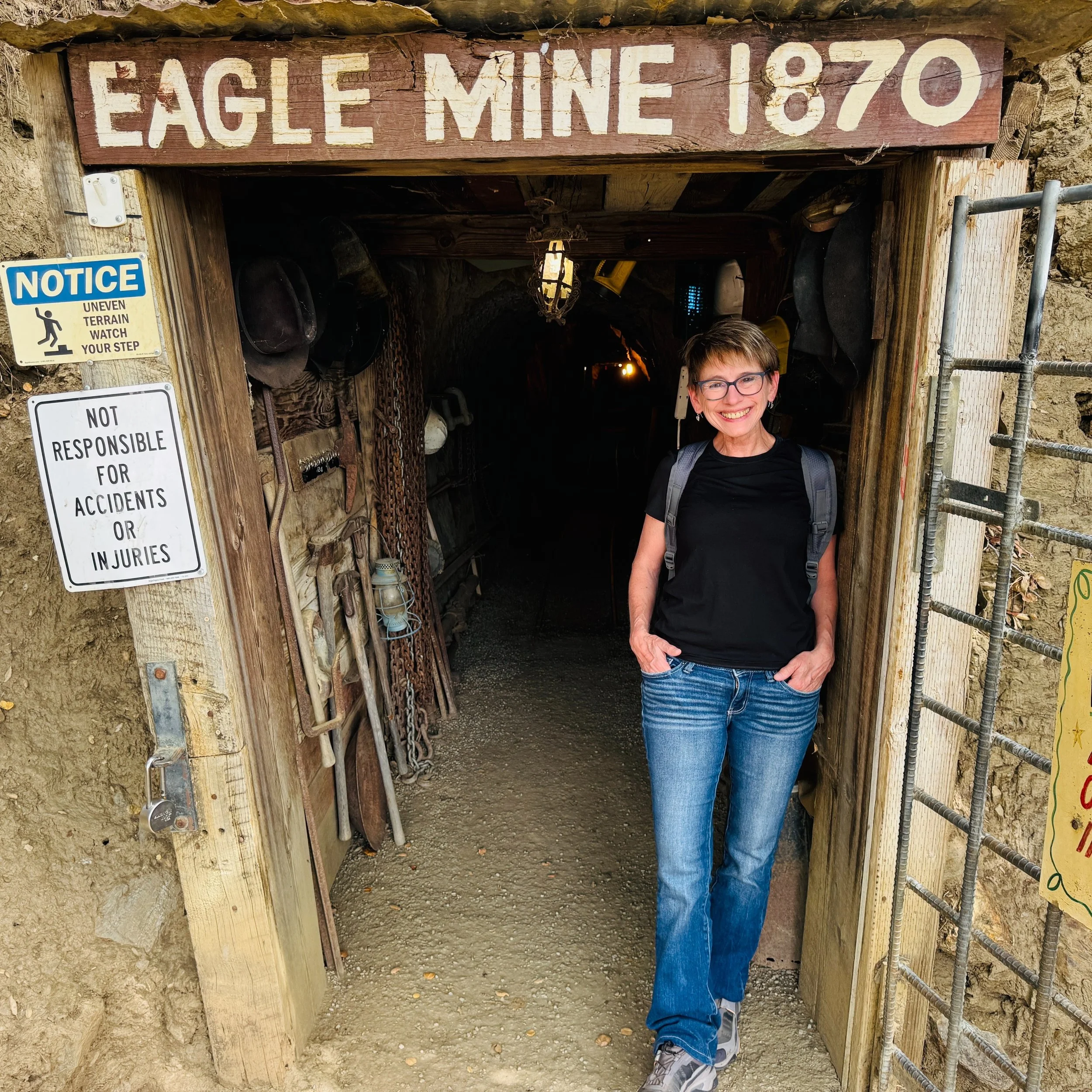 Swirling the gold pan filled with fine sand, tiny gravel, rock particles, and mineral rich sediment in the water in the wooden panning trough at Eagle Mine in Julian today, I was delighted to see tiny, bright yellow specks of gold appear in the botto