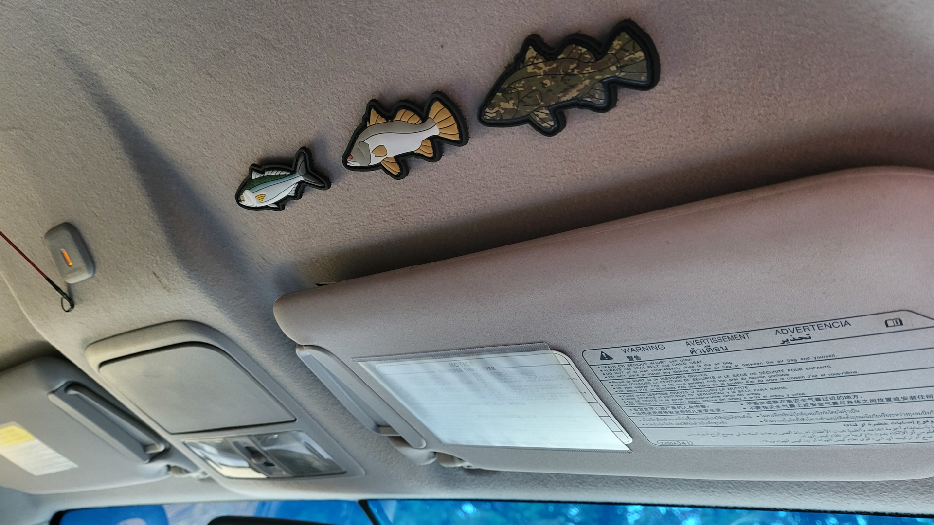 Patches - website car roof.png