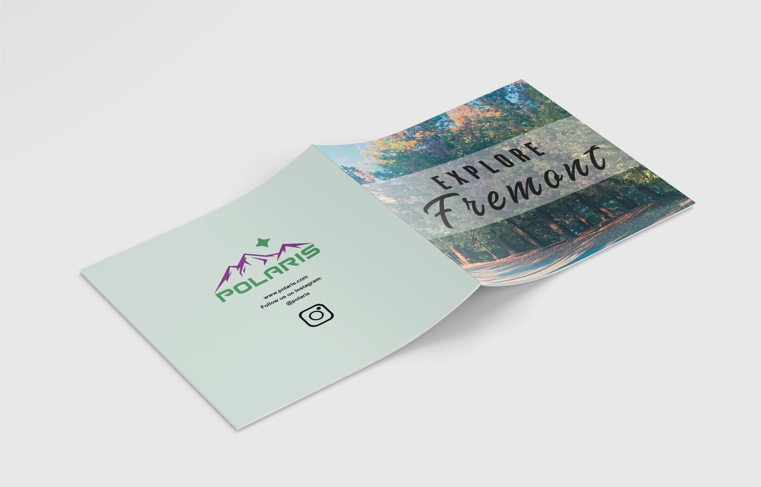 AshlieAmbus_Project2_PolarisBookletDesign_MonkupFtBk_5.jpg