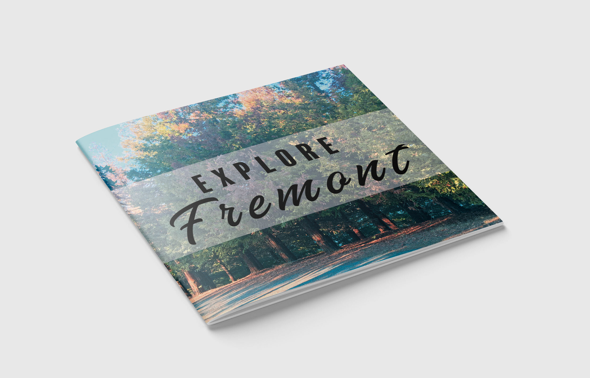 AshlieAmbus_Project2_PolarisBookletDesign_MonkupFront_1.jpg