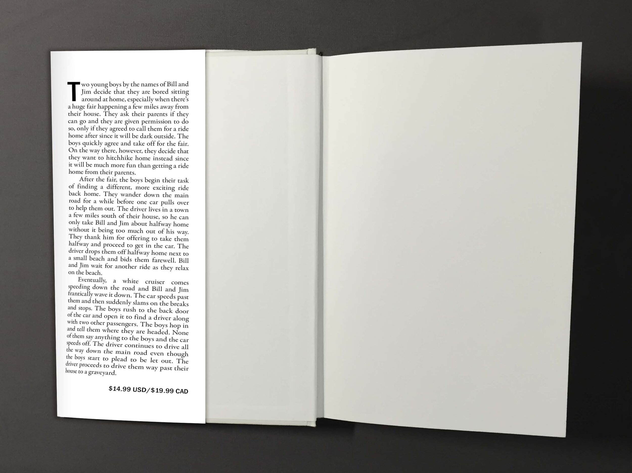 Book Mock Ups_Page_3.jpg