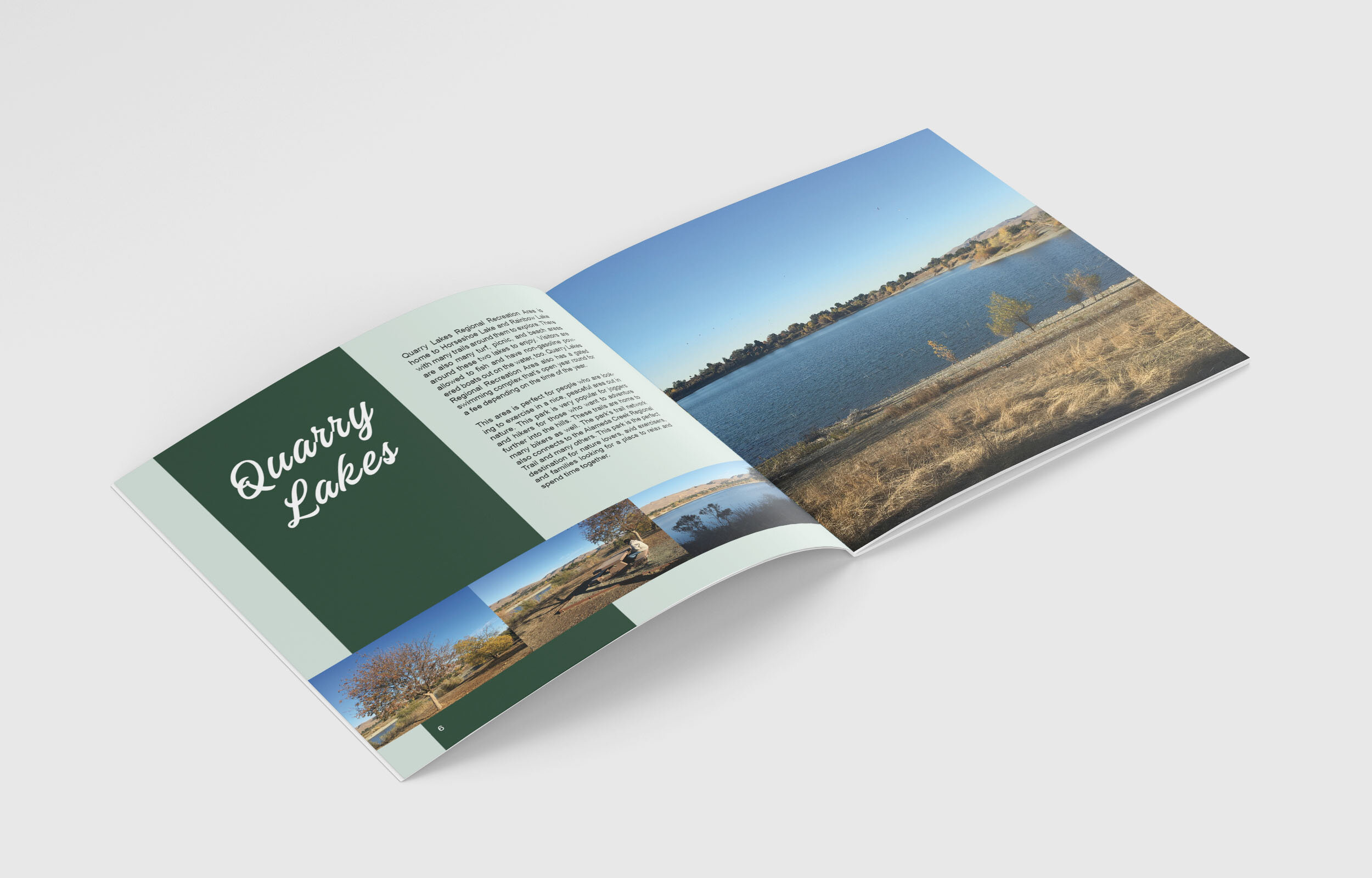 AshlieAmbus_Project2_PolarisBookletDesign_MonkupInside_4_spread3.jpg