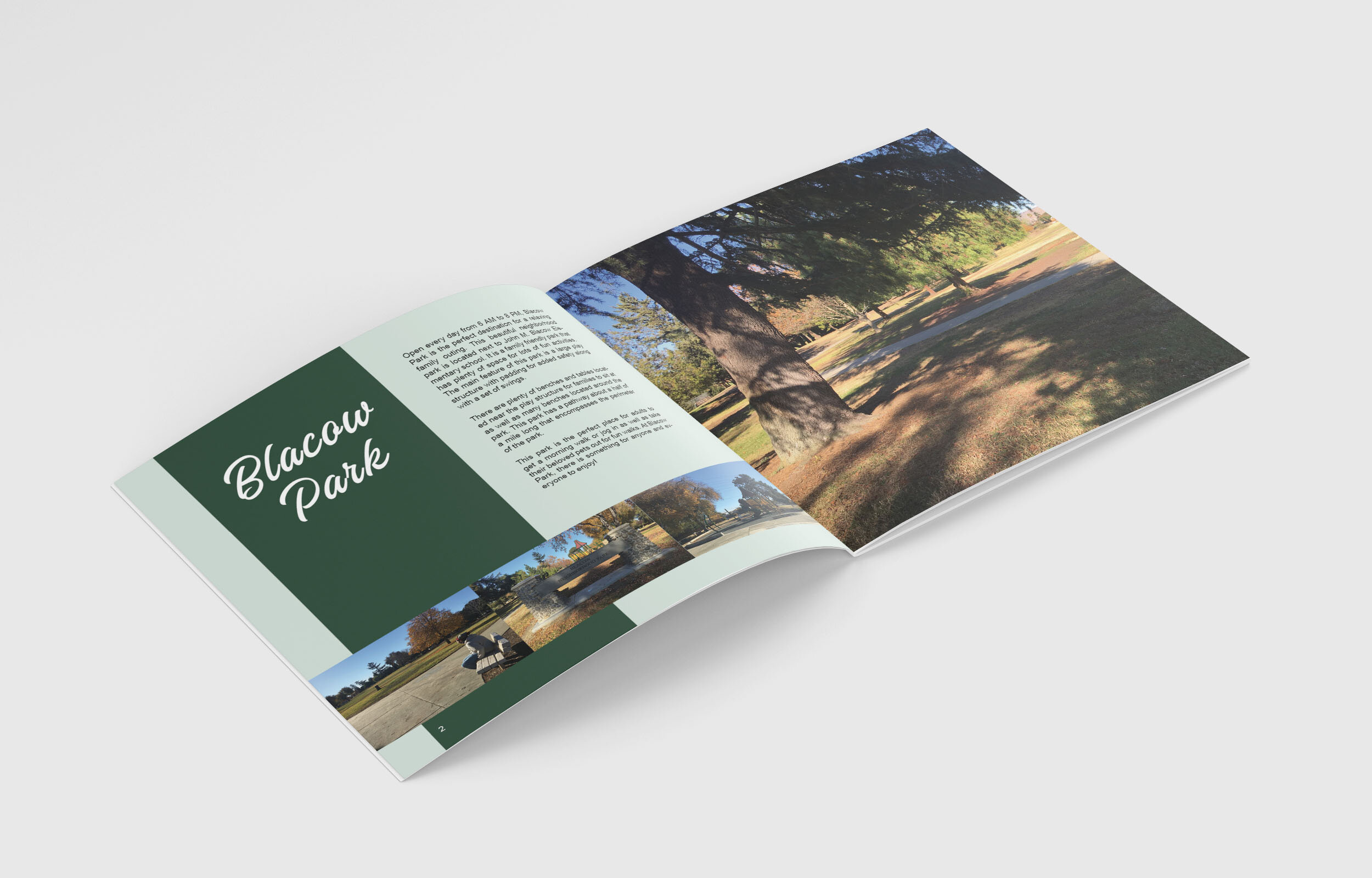 AshlieAmbus_Project2_PolarisBookletDesign_MonkupInside_4_spread1.jpg