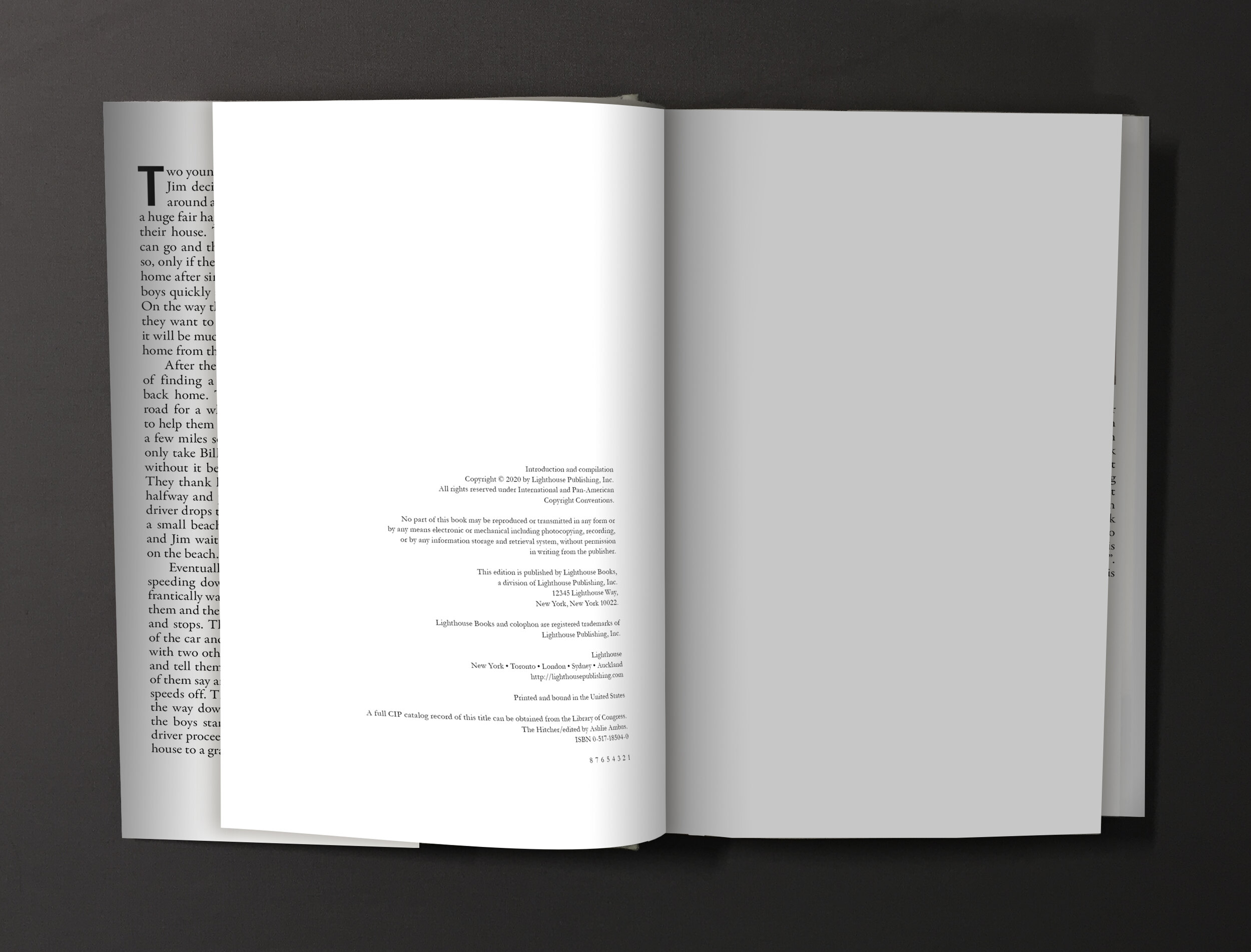 Book Mock Ups_Page_5.jpg