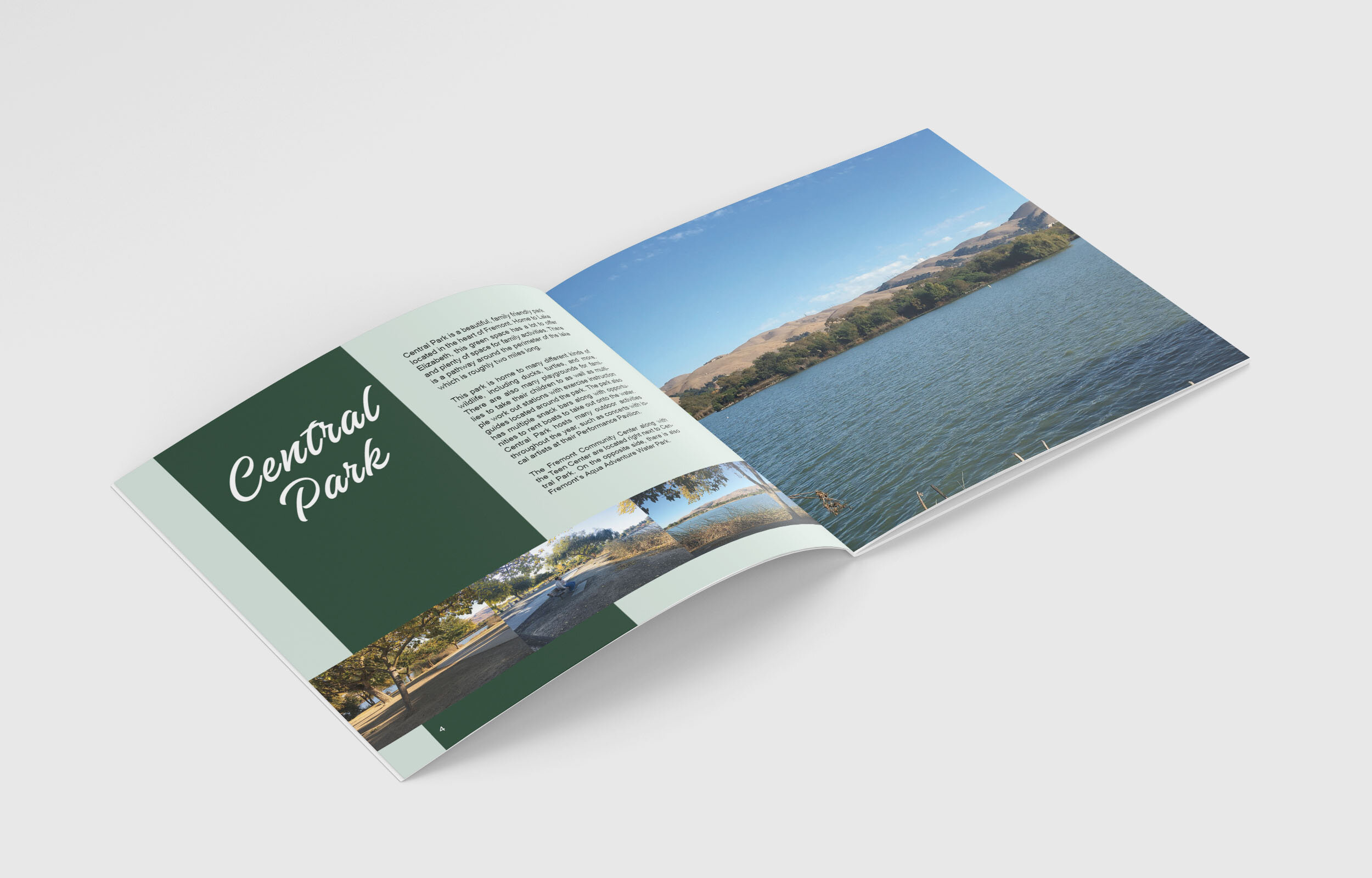 AshlieAmbus_Project2_PolarisBookletDesign_MonkupInside_4_spread2.jpg