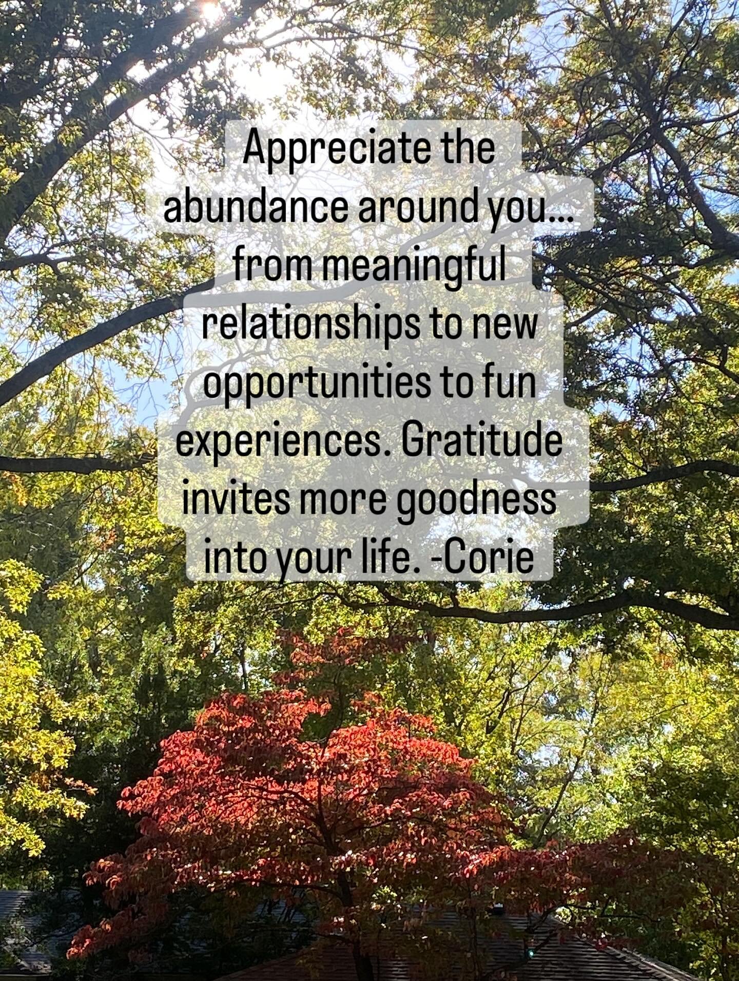 Take a moment to notice the beauty in your life. Allow gratitude into your heart. 

As a Life and Soul Coach, I&rsquo;ve been seeing a lot of clients that are experiencing grief. Loss of a loved one, loss of a job, loss of a life that they once had.
