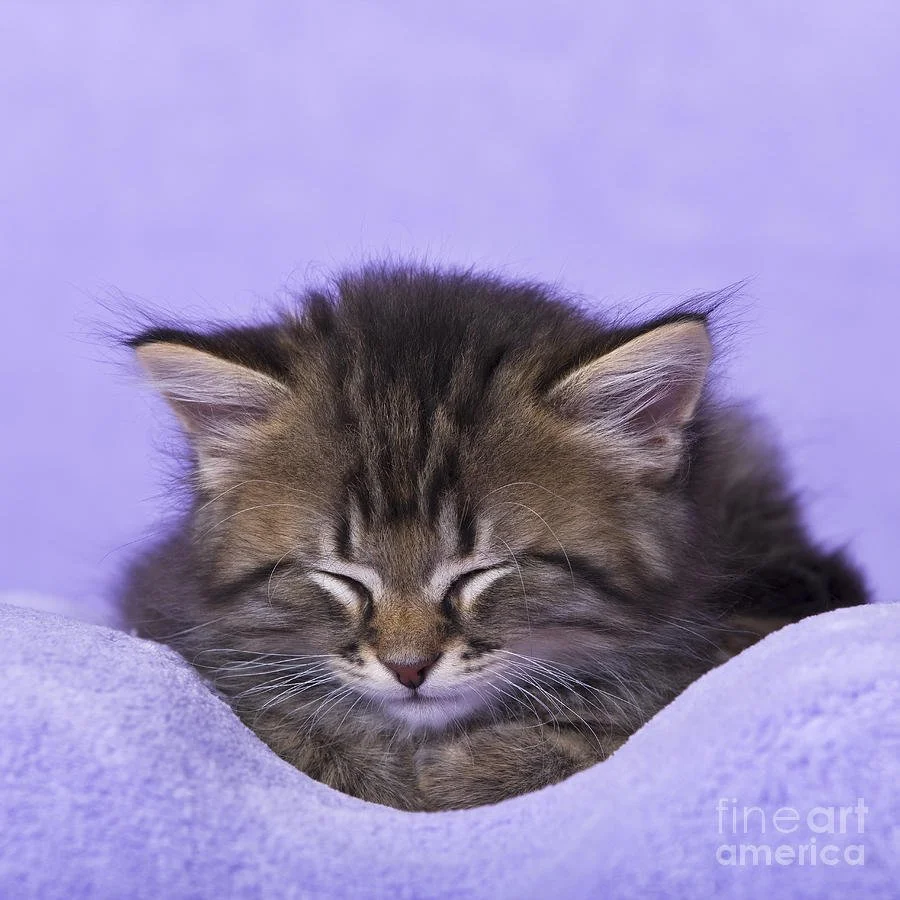 Week of Rest 