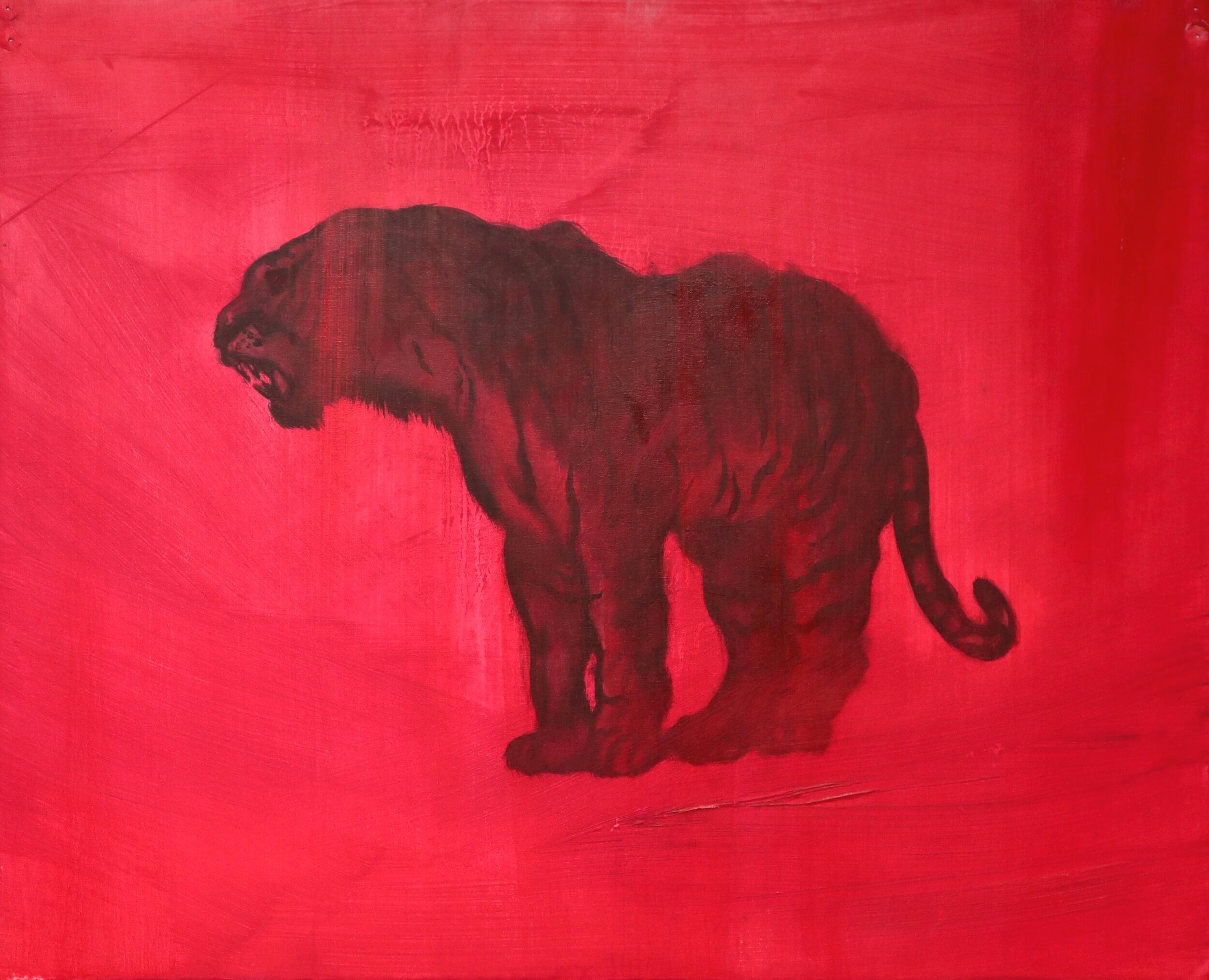 Tiger (Chinese Zodiac), H30cm X W40cm, Oil on canvas
