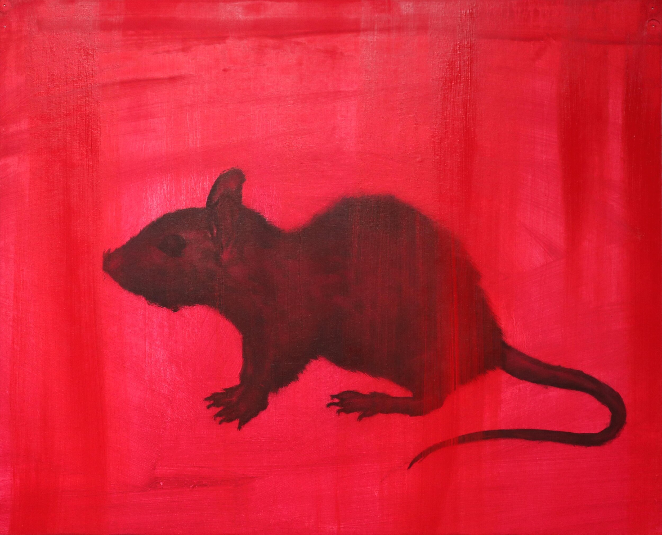 Rat (Chinese Zodiac), H30cm X W40cm, Oil on canvas