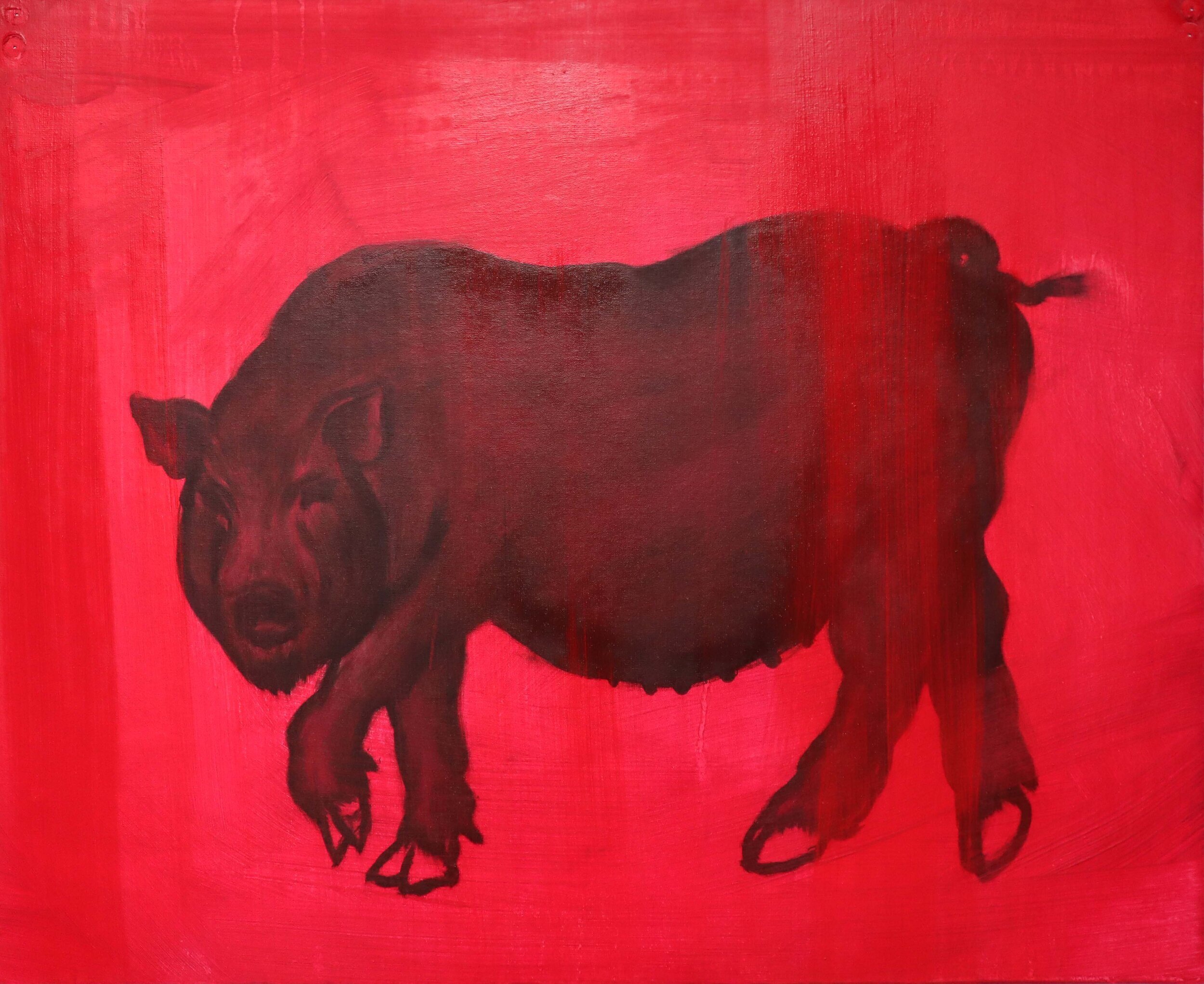 Pig (Chinese Zodiac), H30cm X W40cm, Oil on canvas