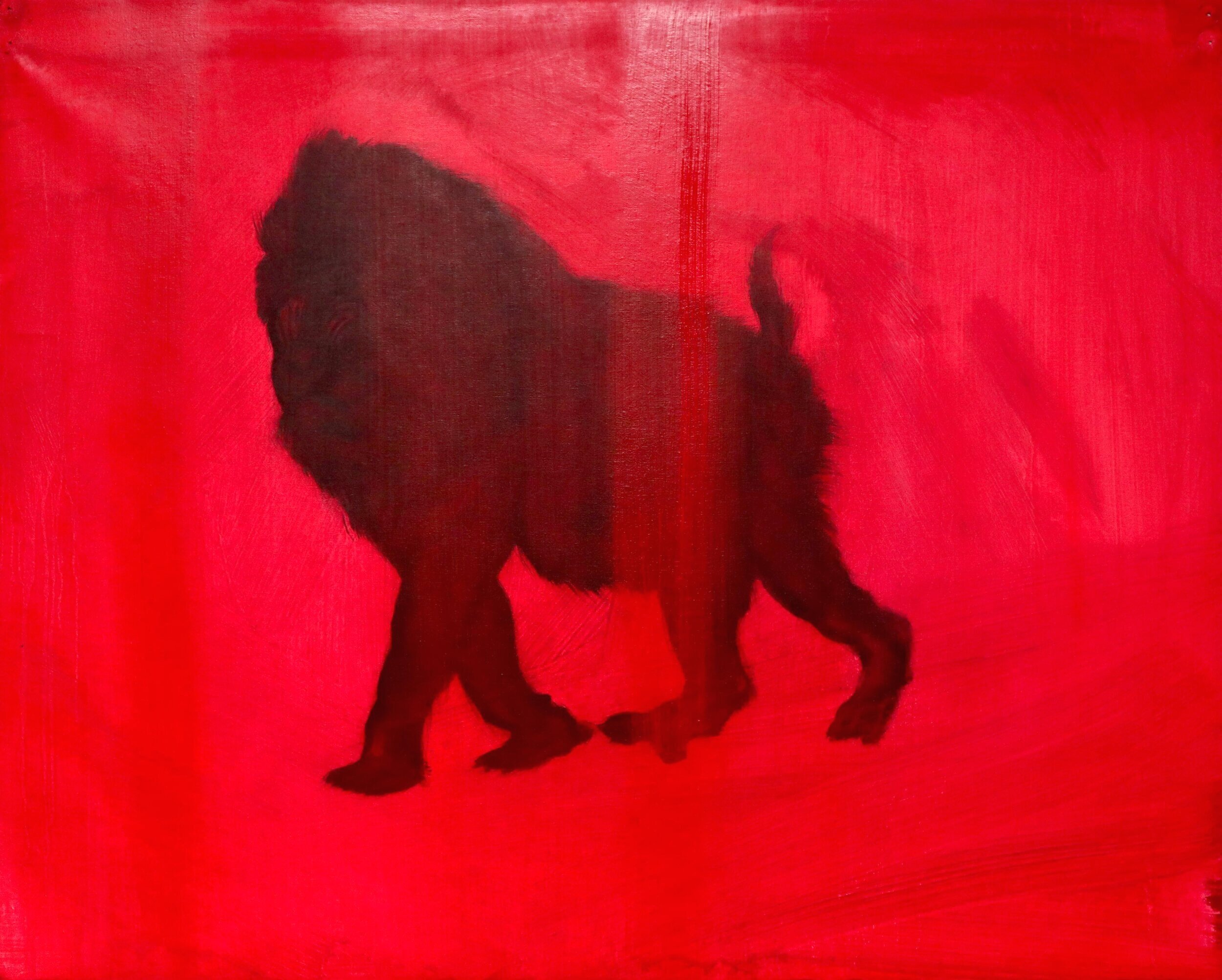 Monkey (Chinese Zodiac), H30cm X W40cm, Oil on canvas