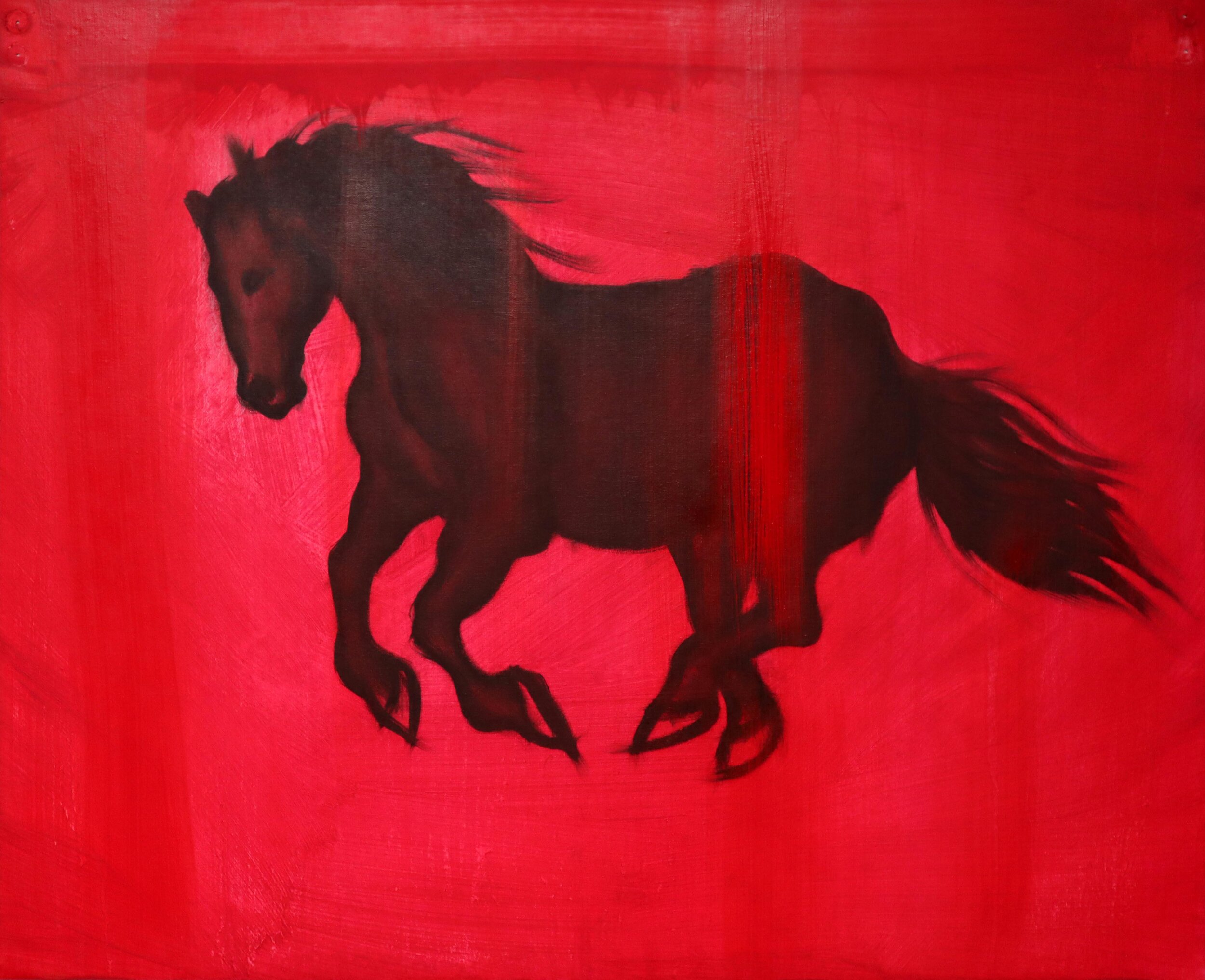 Horse (Chinese Zodiac), H30cm X W40cm, Oil on canvas