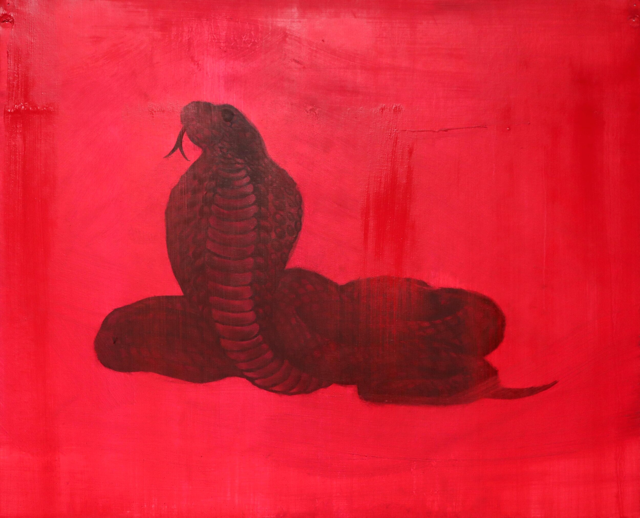 Snake (Chinese Zodiac), H30cm X W40cm, Oil on canvas