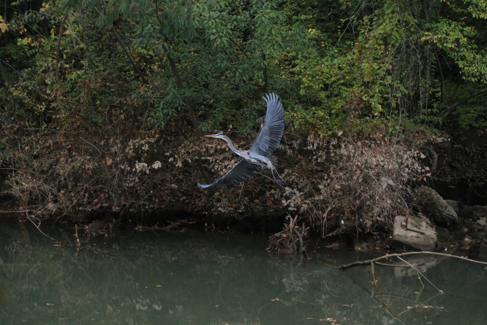 In Flight 8