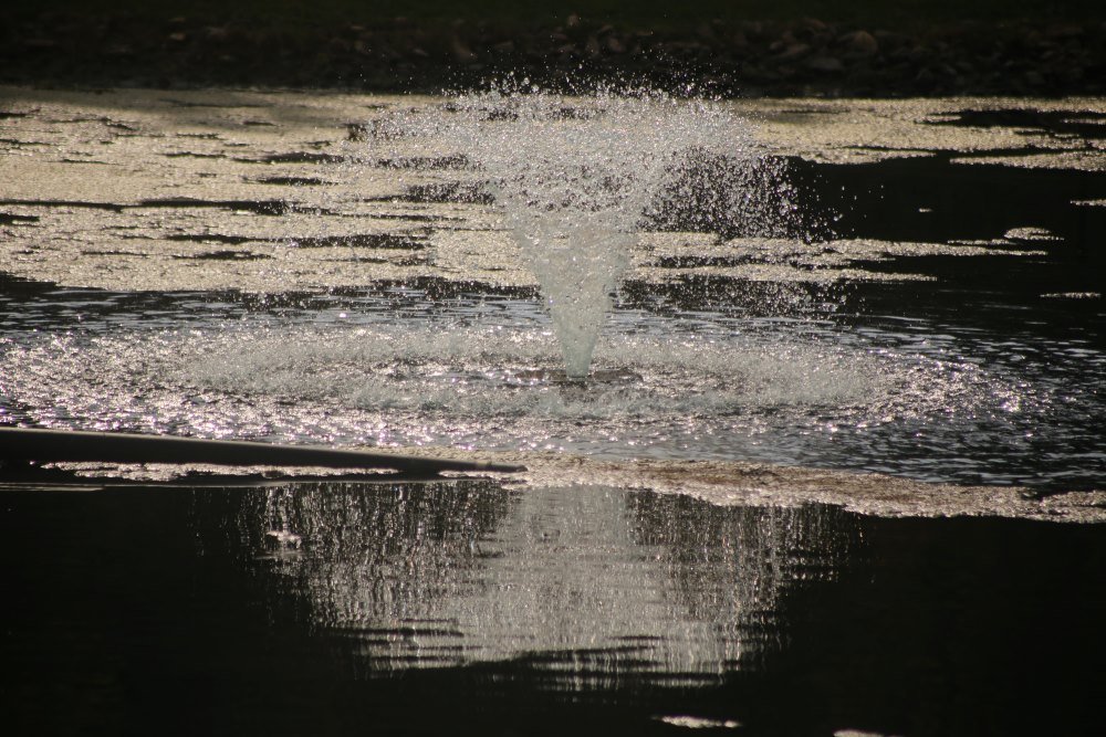 Walk in the park 2