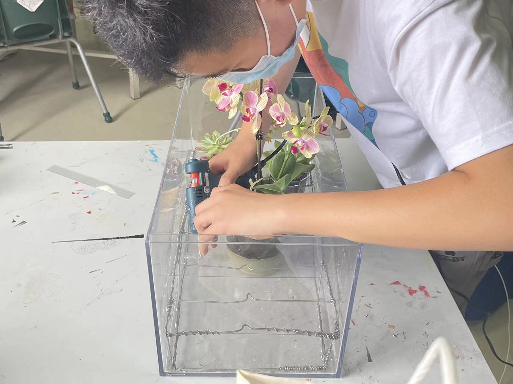 Middle School Transdisciplinary Personal Project
