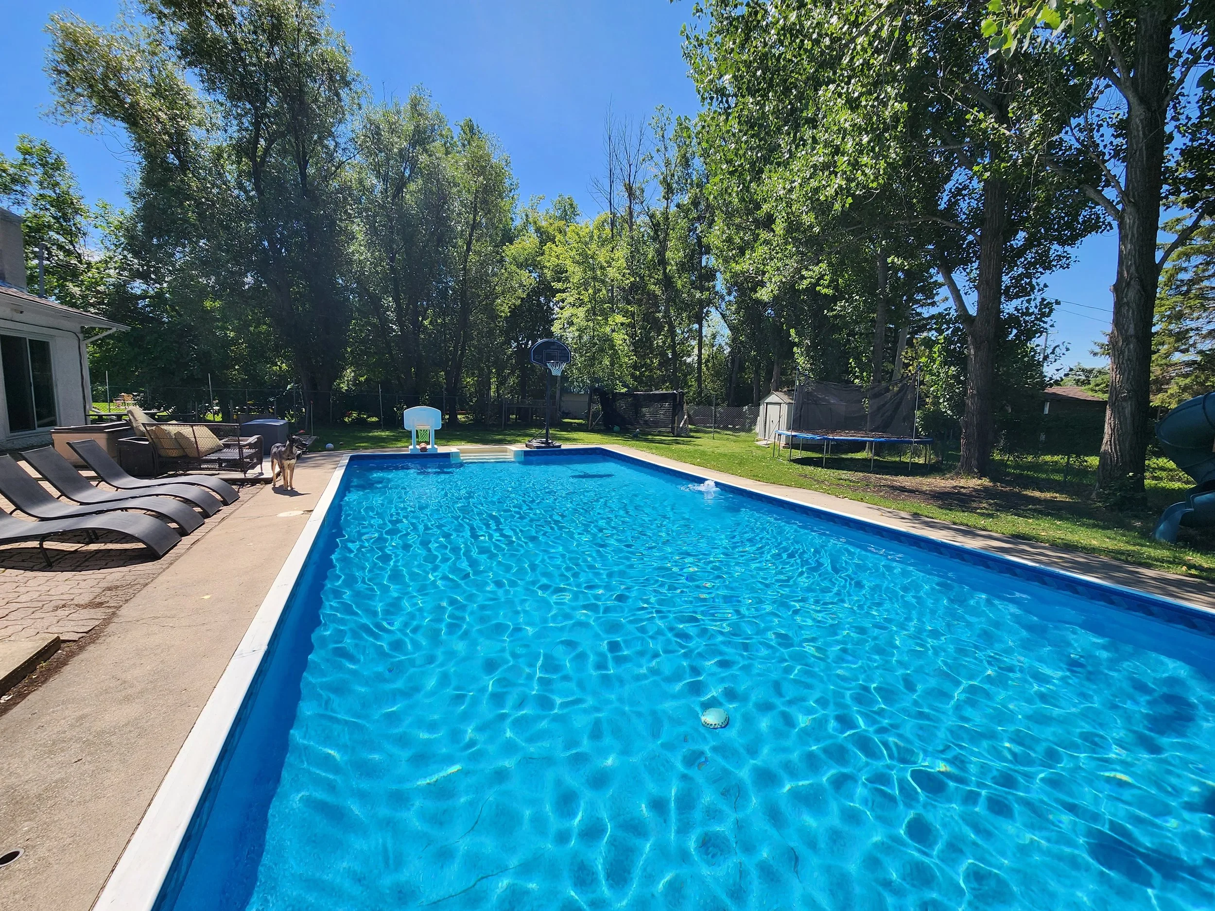 20230727_121931.jpg
