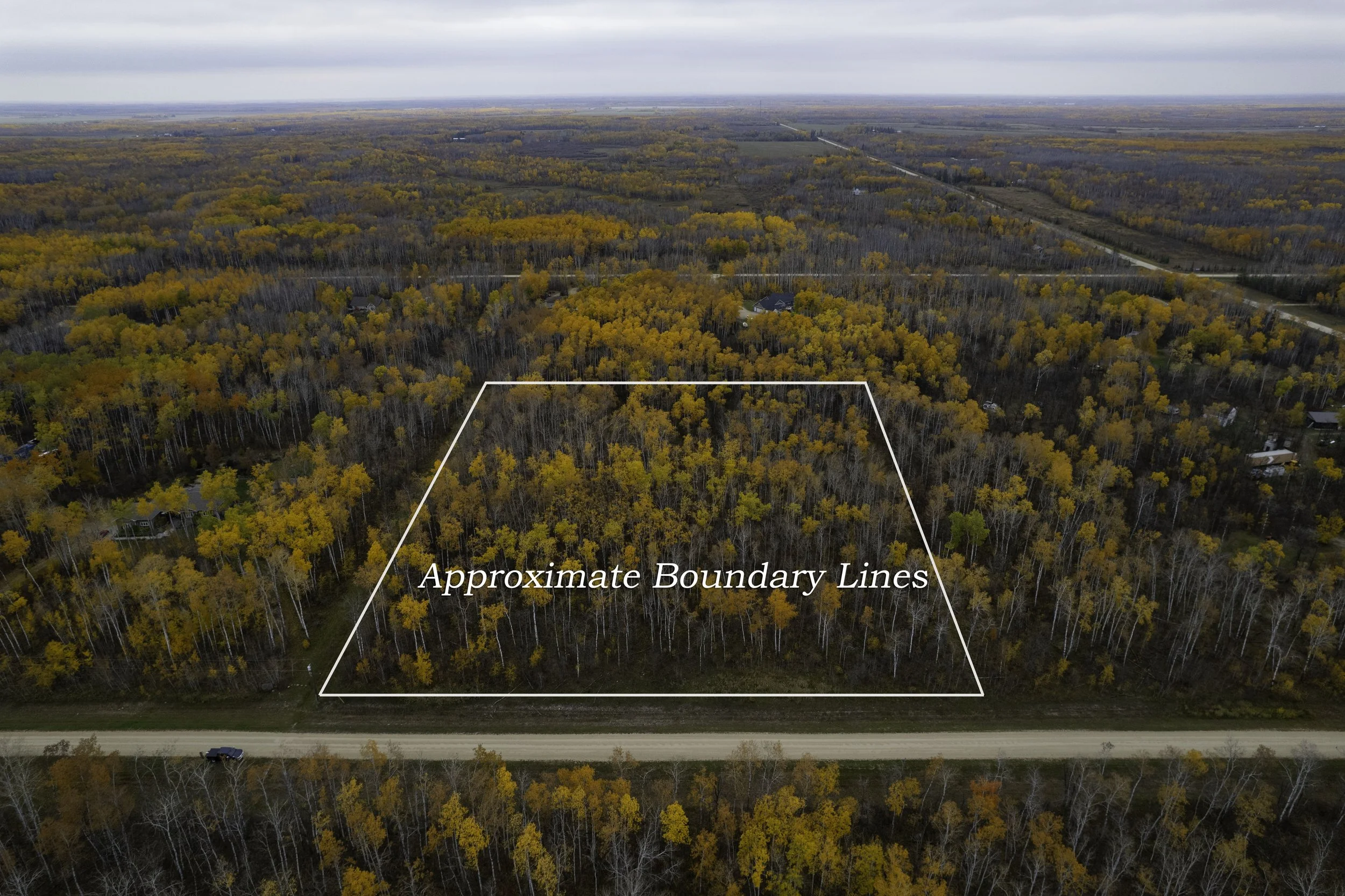 Yakubicka w lines.jpg