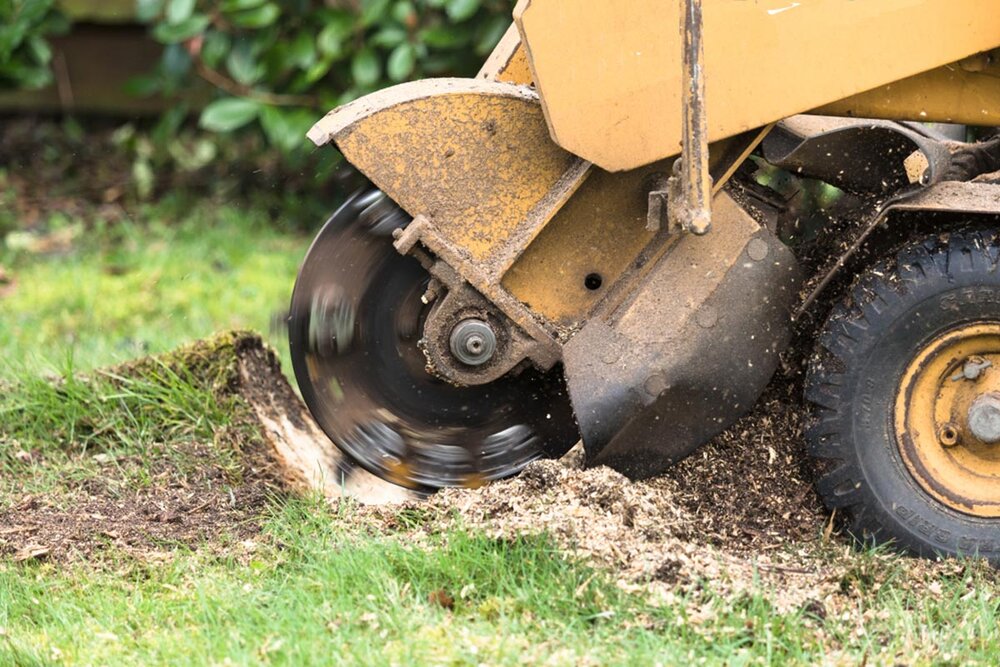 Tree roots grinding