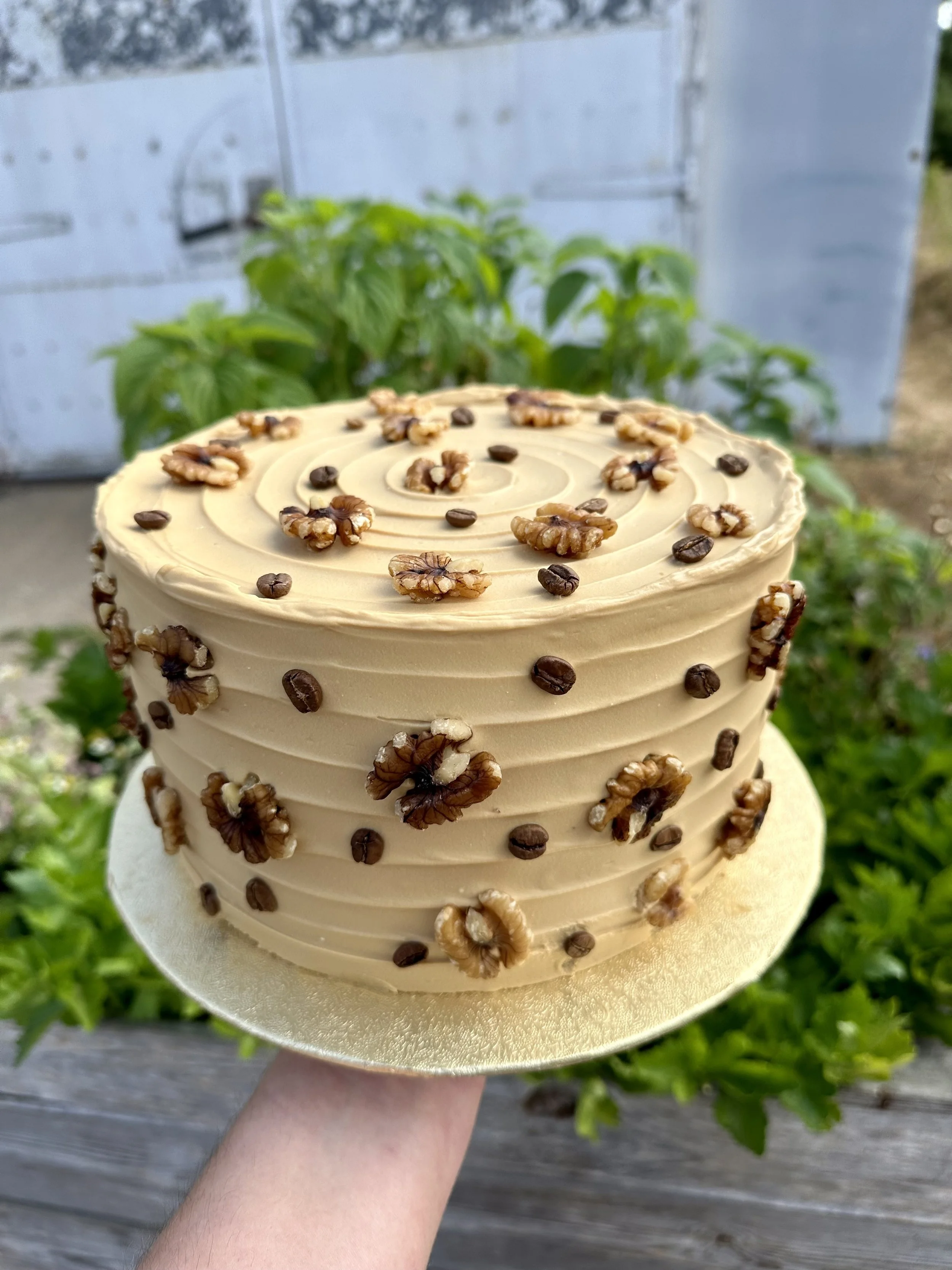 Coffee & Walnut Cake