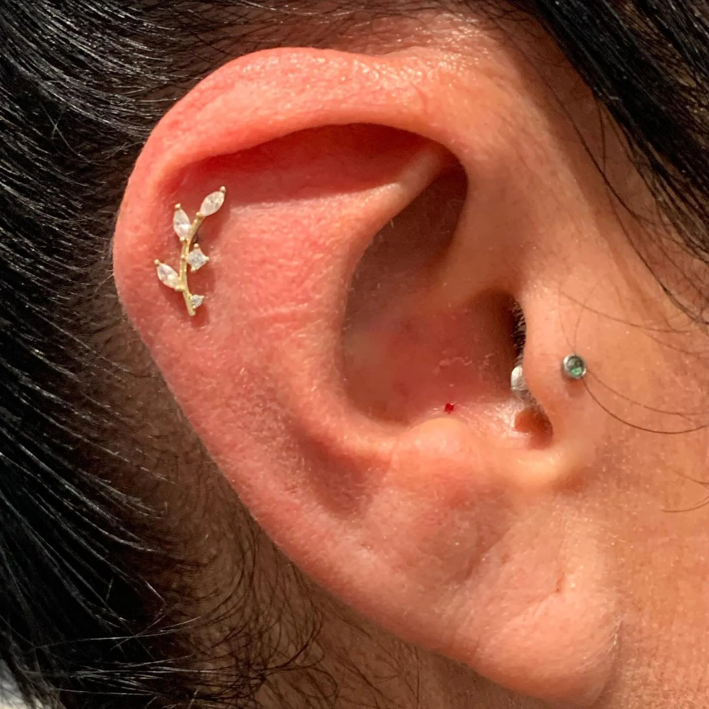 Fresh cartilage piercing with our lovely 14k Gold pushpin! Absolutely obsessed with this piece 😍 
#bodypiercing #bodyjewlery #earrings #earpiercings #earpiercingideas #professionalpiercer #needlepiercing #titaniumjewelry #neometaljewelry #bodypierci