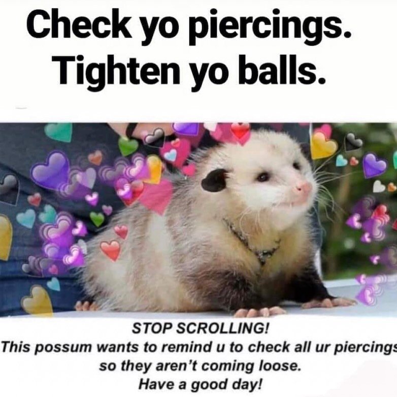 Friendly reminder! 💕 Any threaded ball runs the risk of loosening every now and then just check to make sure they&rsquo;re tight ☺️
Don&rsquo;t know who to credit for this picture 
#bodypiercing #meme #piercingmemes #bodyjewelry #piercings