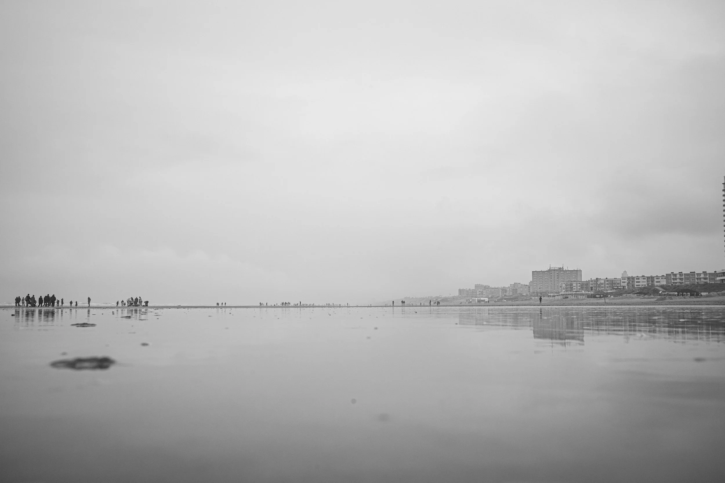 L1006618.JPG