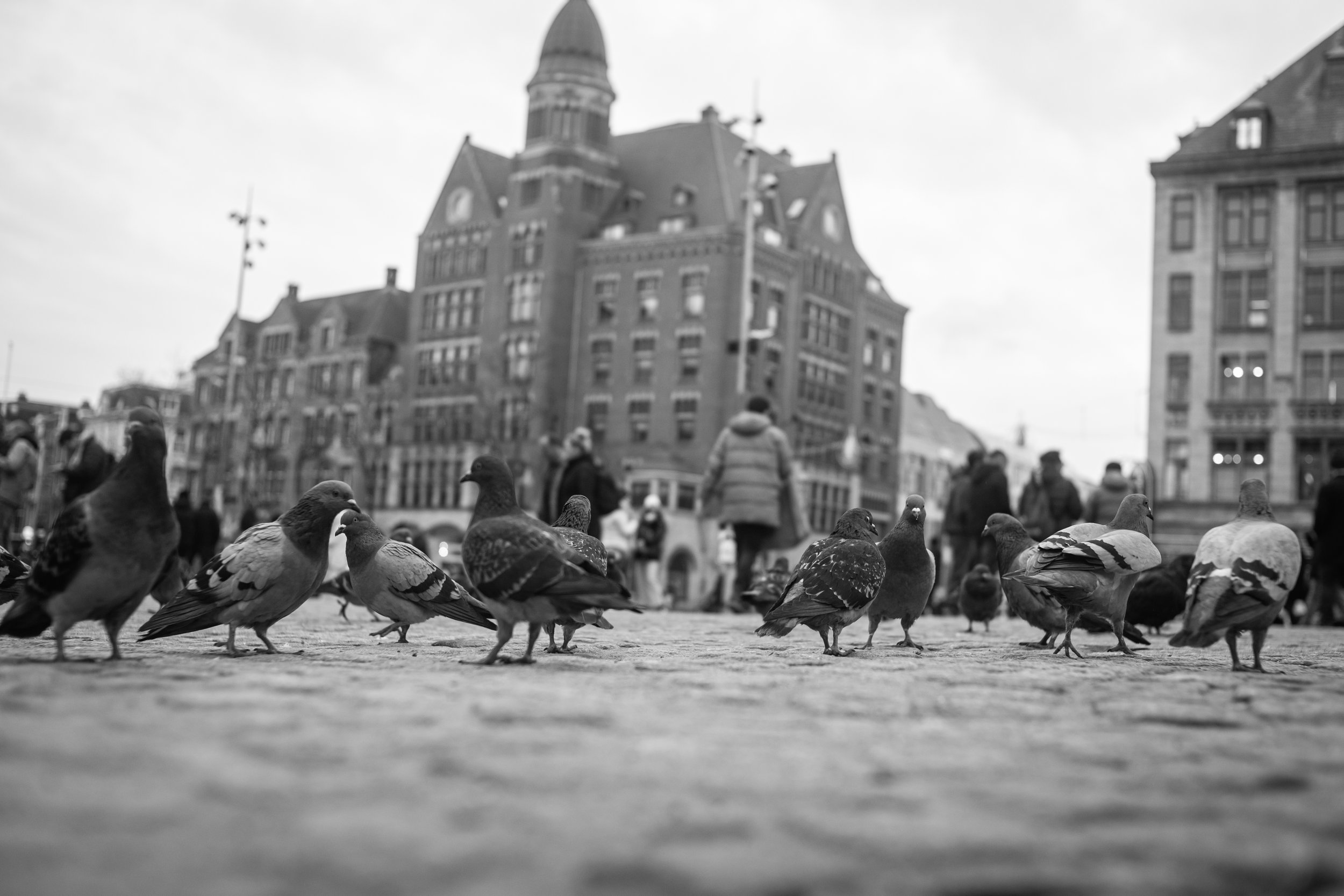 L1006494.JPG