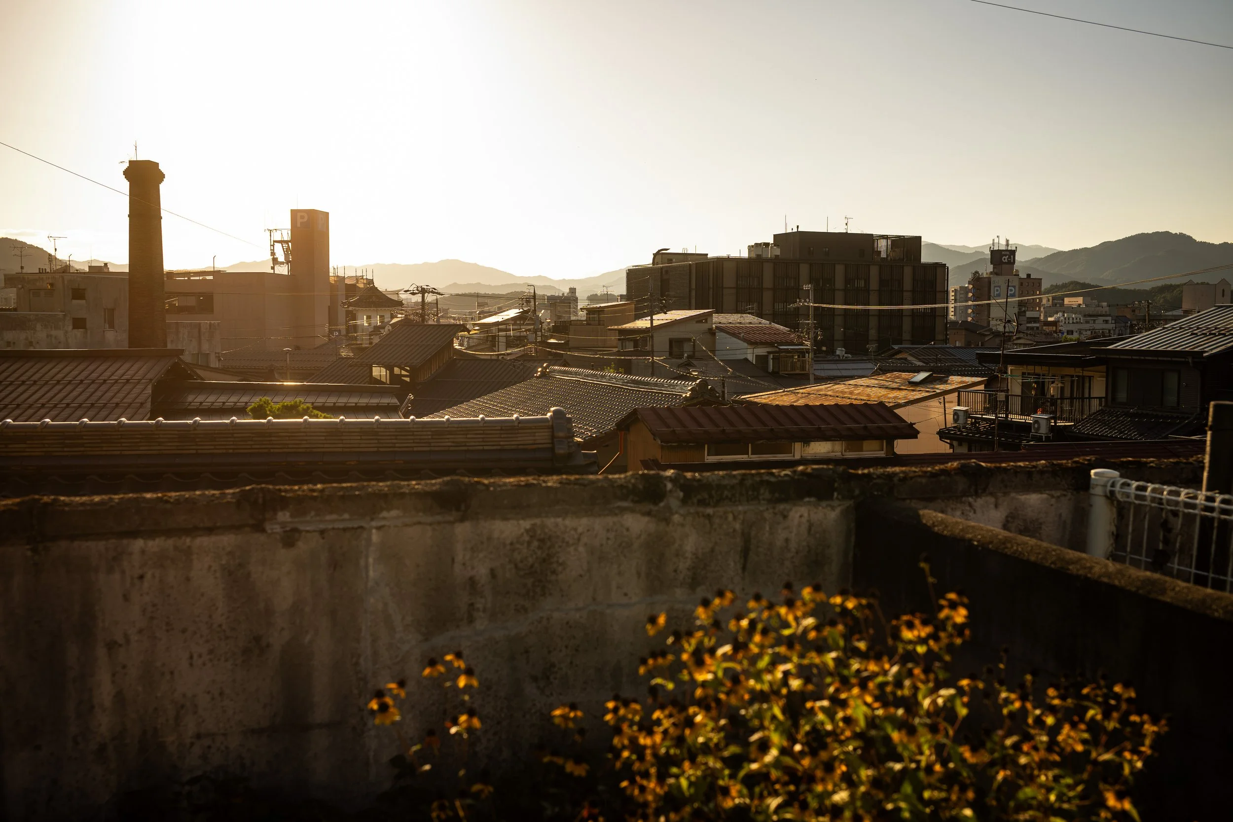 L1000292.jpg